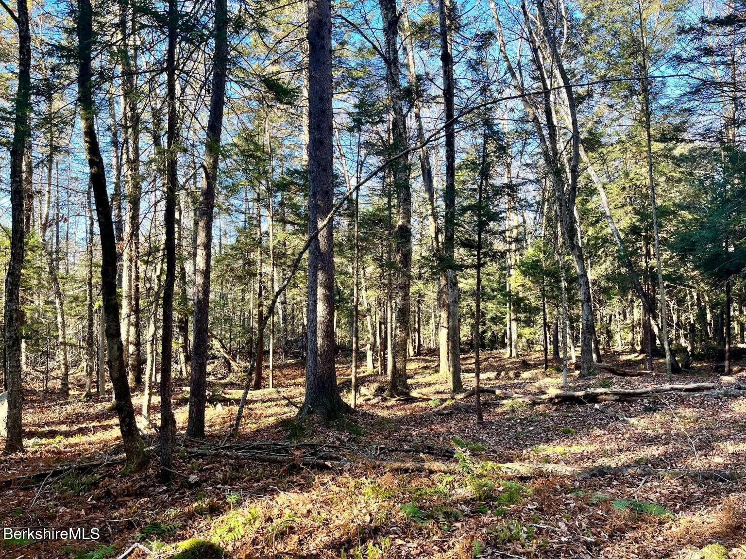 0 Woodmere Road Becket, MA 01223 - Photo 3 of 7 Belanger.3