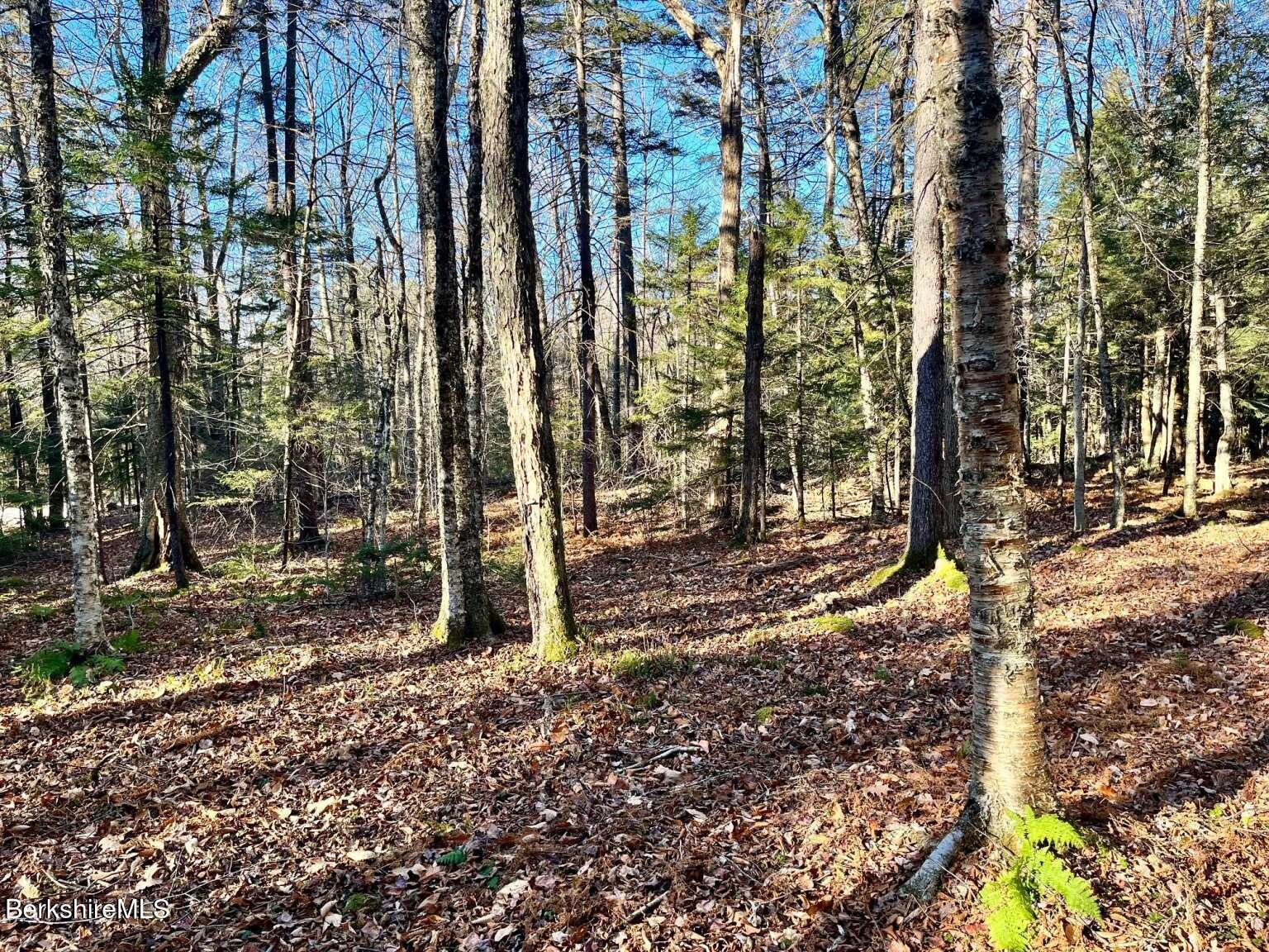 0 Woodmere Road Becket, MA 01223 - Photo 4 of 7 Belanger.4