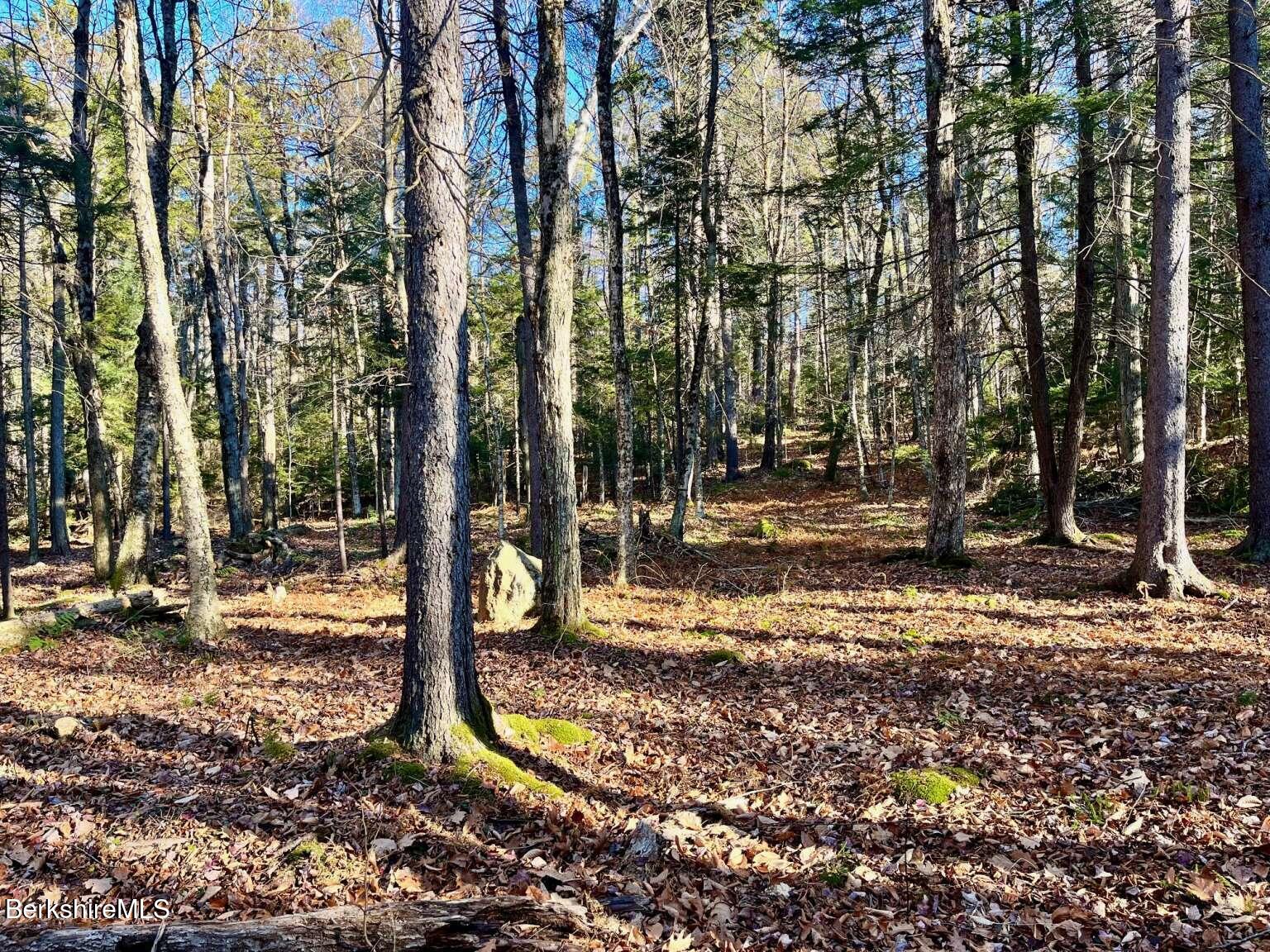 0 Woodmere Road Becket, MA 01223 - Photo 5 of 7 Belanger.5