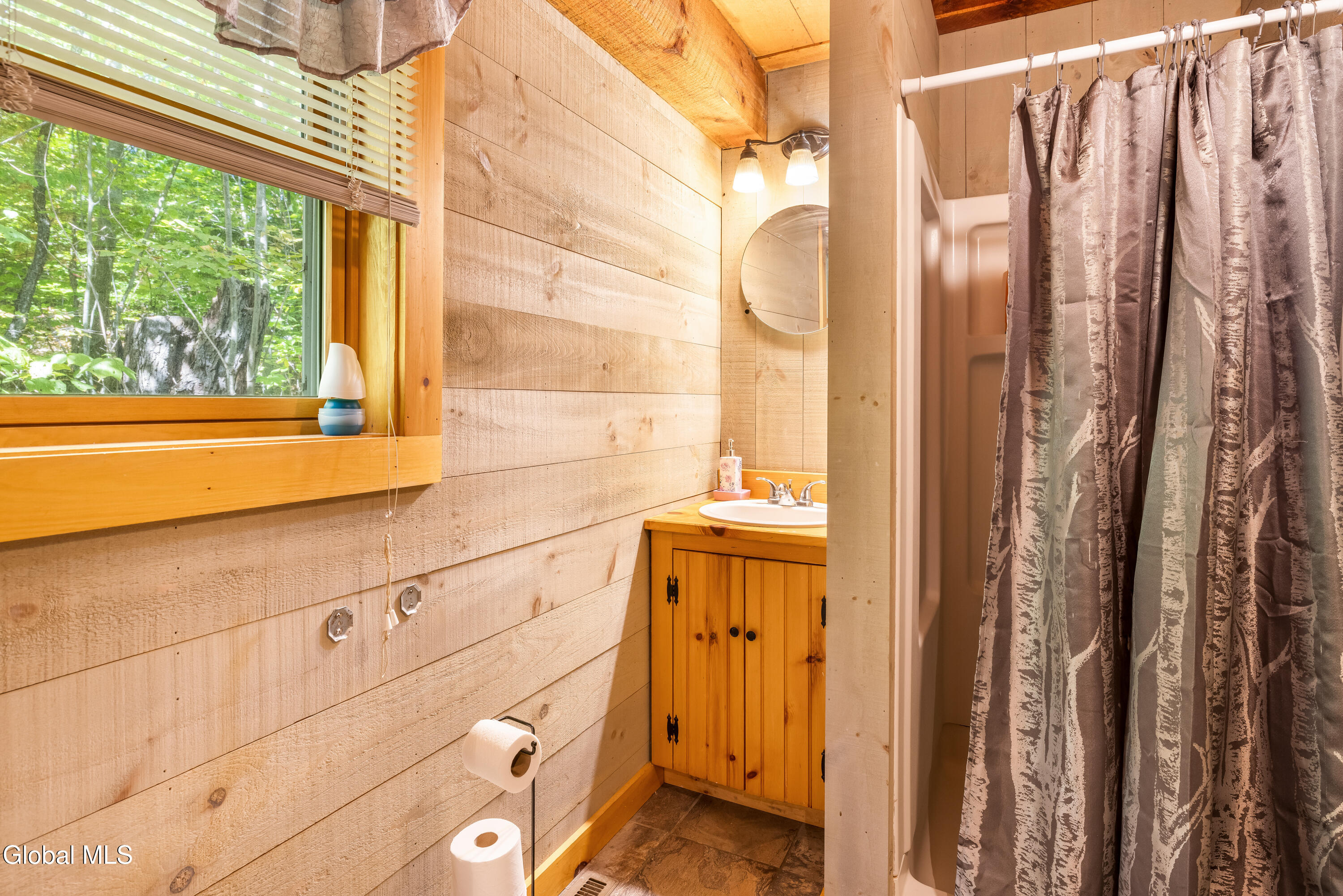 219 Edwards Hill Road Johnsburg, NY 12811 - Photo 16 of 39 219 Edwards Hill