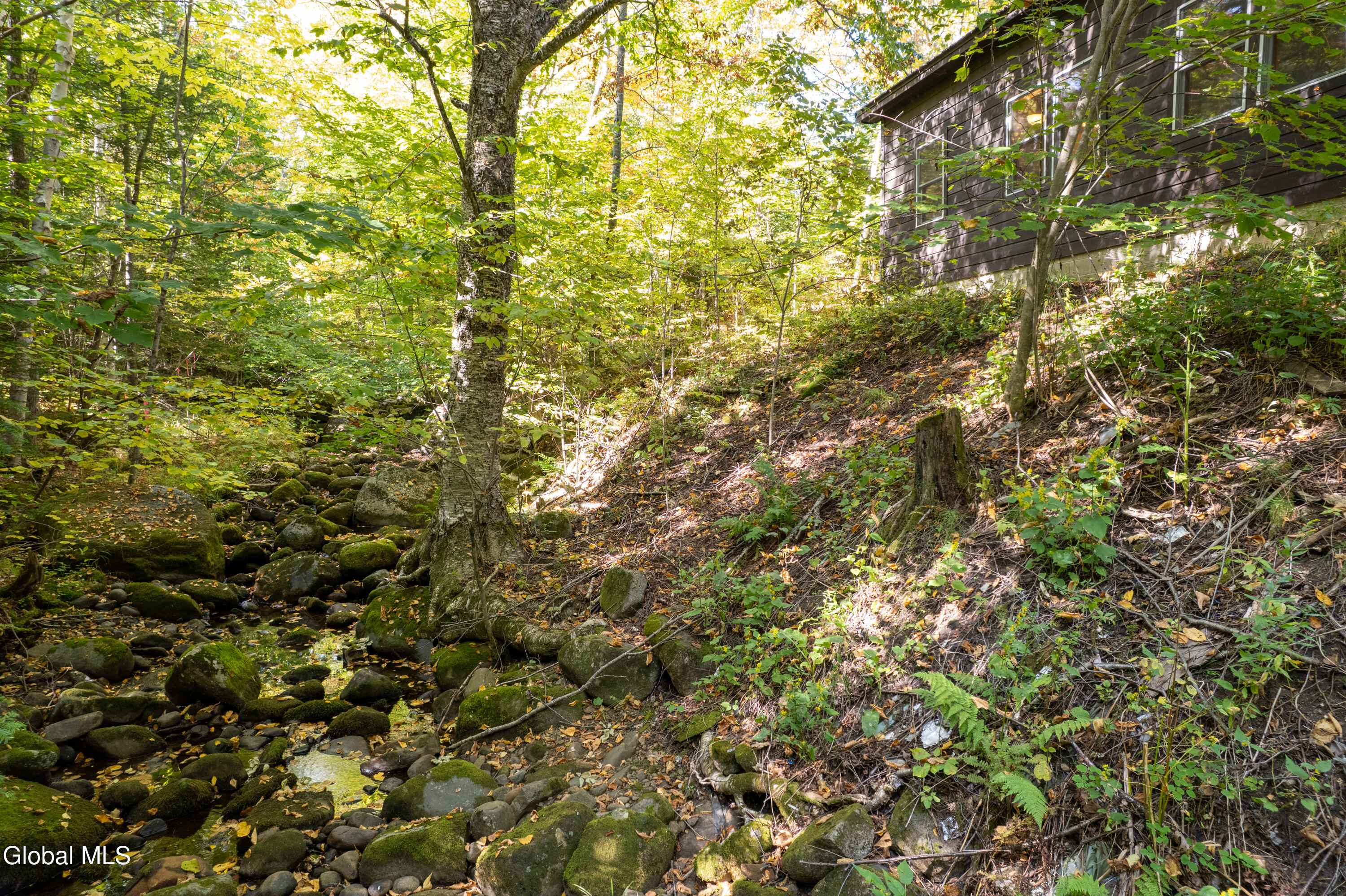 219 Edwards Hill Road Johnsburg, NY 12811 - Photo 33 of 39 219 Edwards Hill