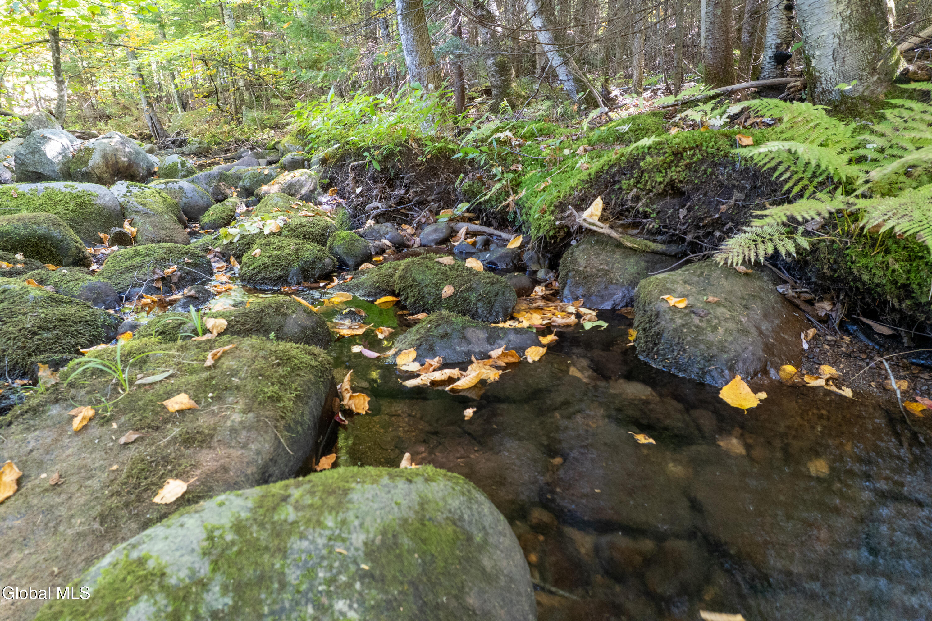219 Edwards Hill Road Johnsburg, NY 12811 - Photo 34 of 39 219 Edwards Hill