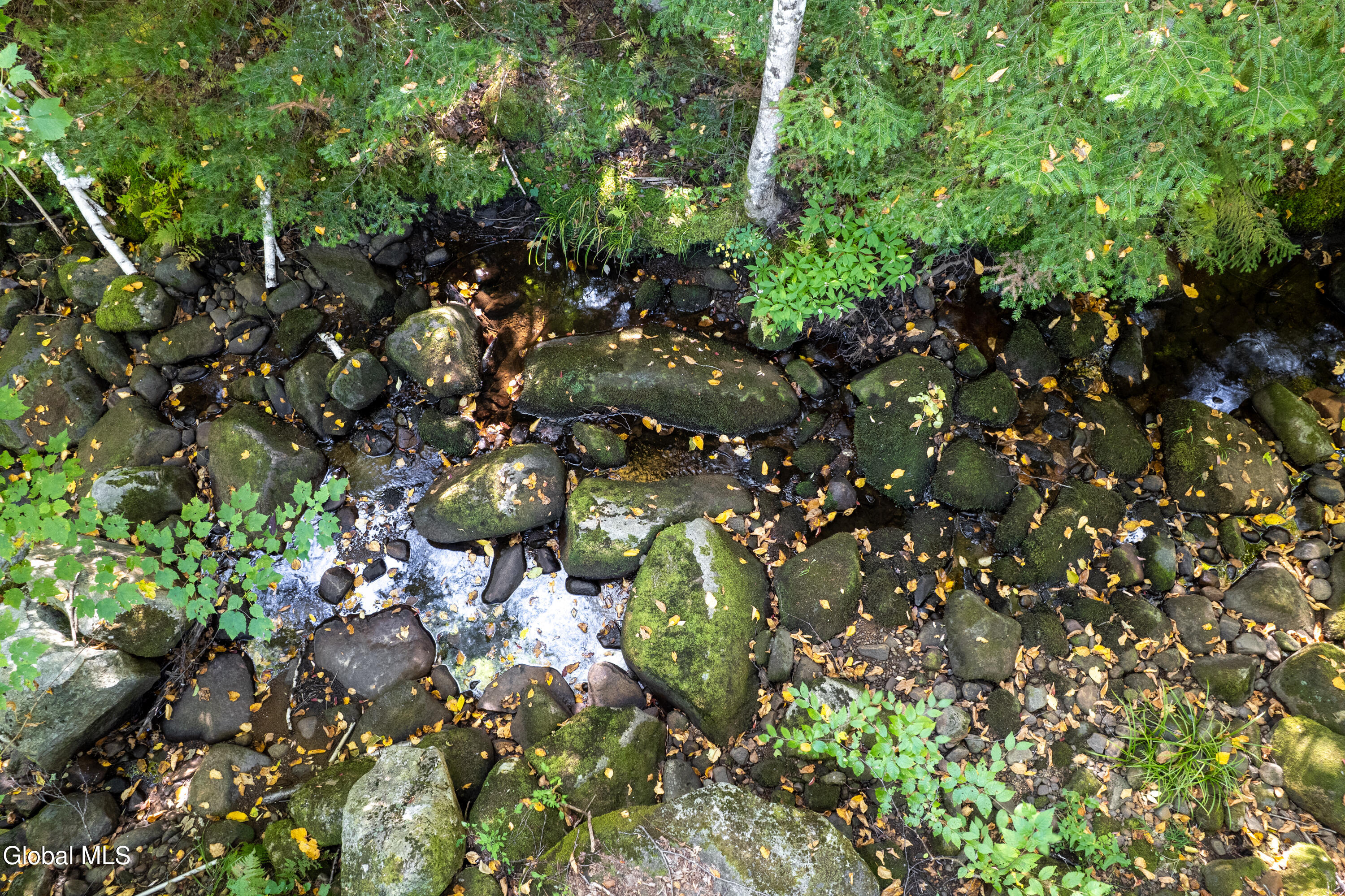 219 Edwards Hill Road Johnsburg, NY 12811 - Photo 35 of 39 219 Edwards Hill