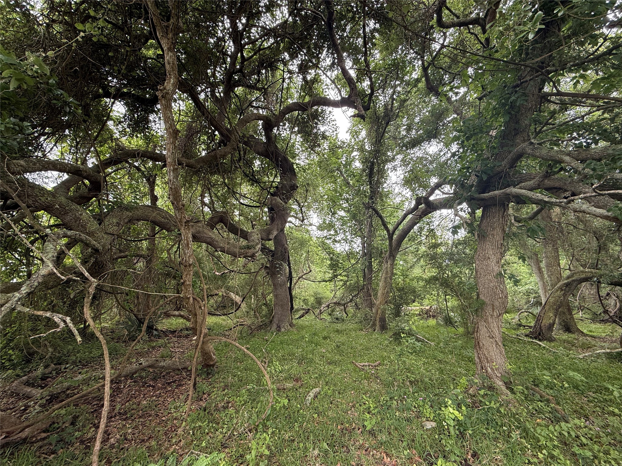 6827 Bryan Road Freeport, TX 77541 - Photo 2 of 7