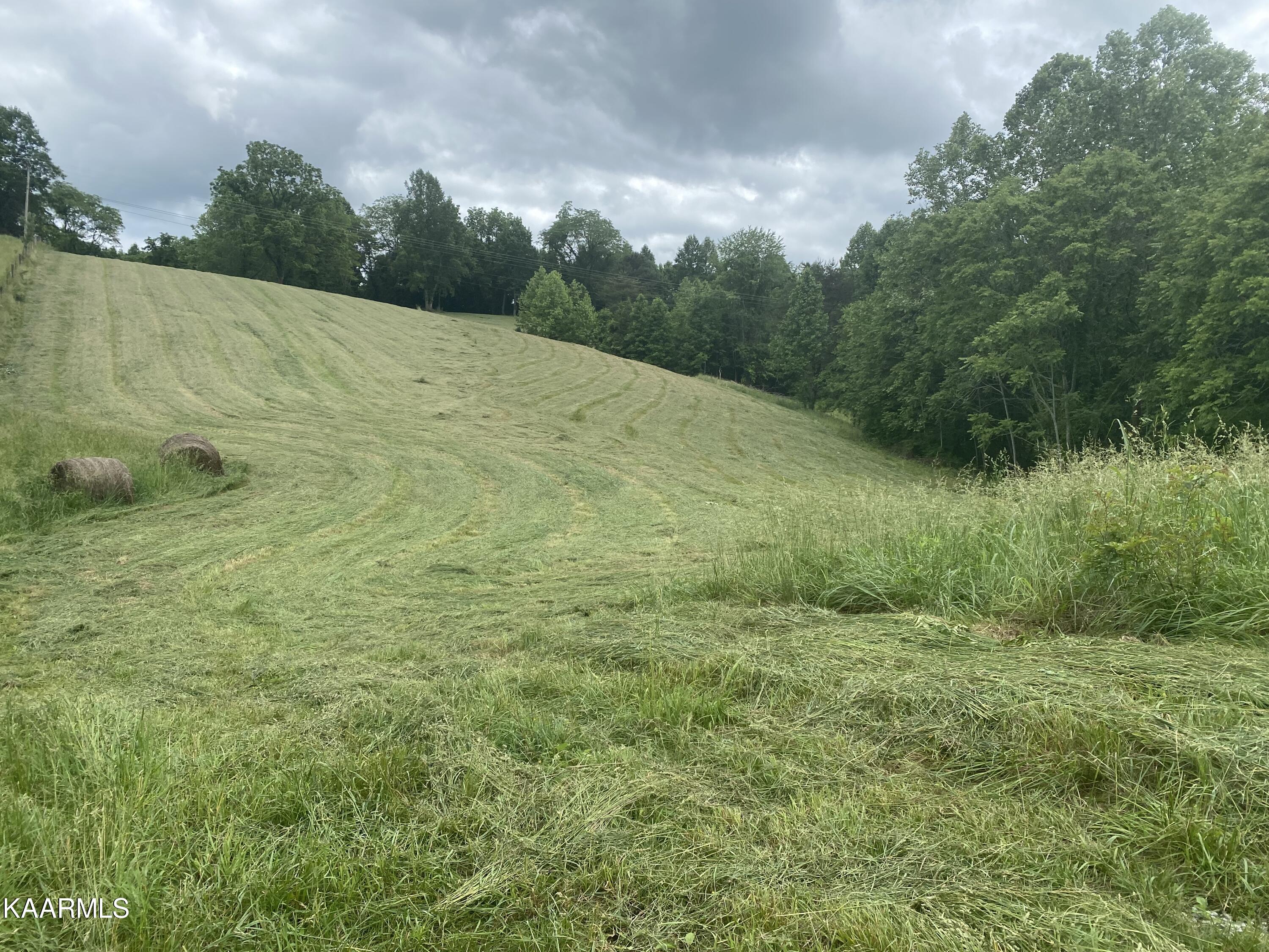 Tbd Wilderness Road Jonesville, VA 24263 - Photo 1 of 3 F0222B4B-3B14-4E1F-BF1D-E85AC945AC5A