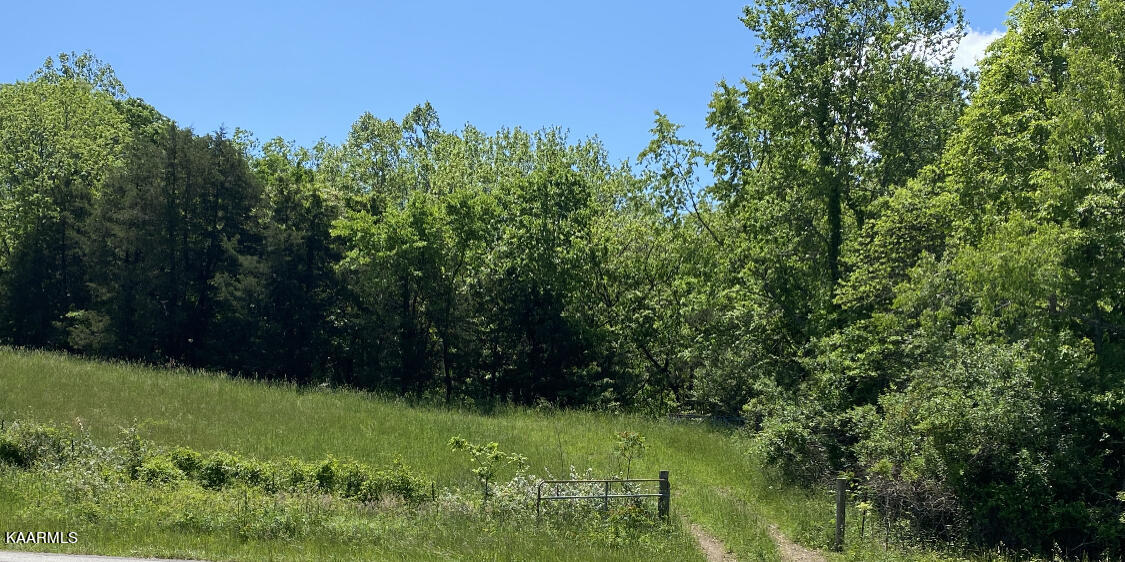 Tbd Wilderness Road Jonesville, VA 24263 - Photo 2 of 3 18212AAF-53AA-4224-8E1B-2A68F8420F2B