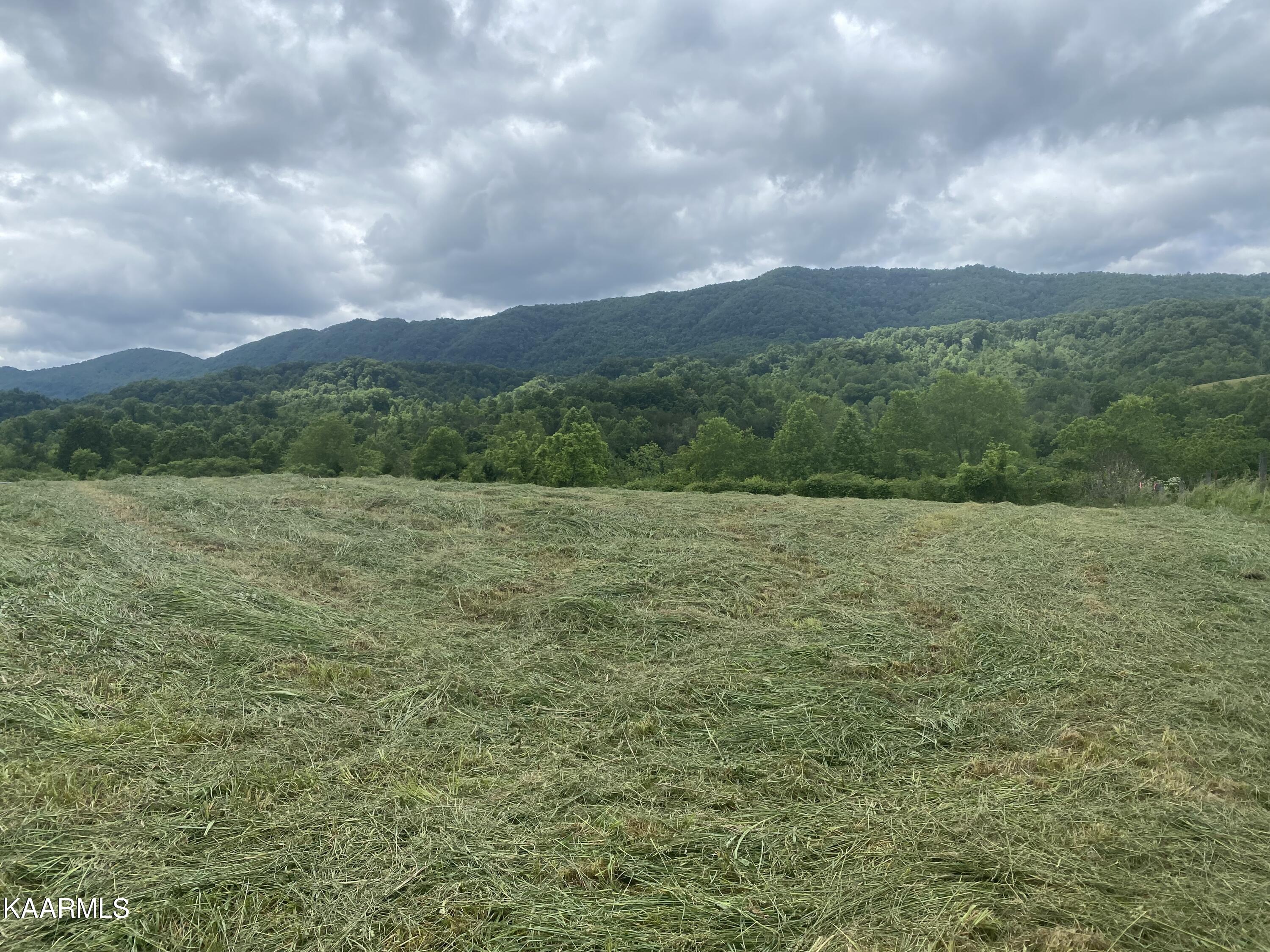 Tbd Wilderness Road Jonesville, VA 24263 - Photo 3 of 3 30D9A983-B653-41DB-8E02-900044A58ADC