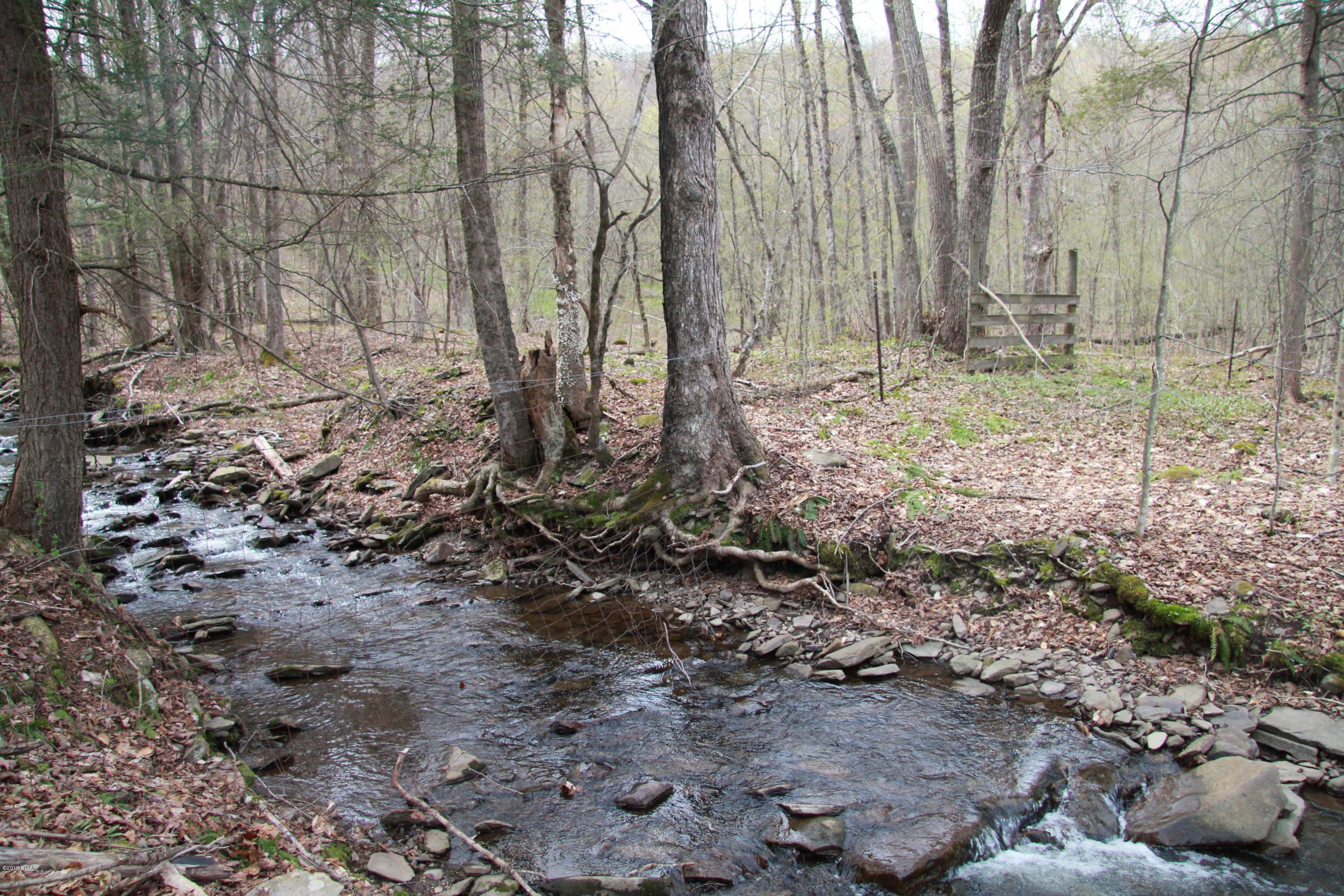 229 Roberts Road Starlight, PA 18461 - Photo 42 of 46 2nd stream - rear of property
