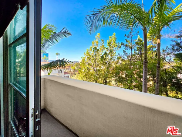 a view of a plant from a window