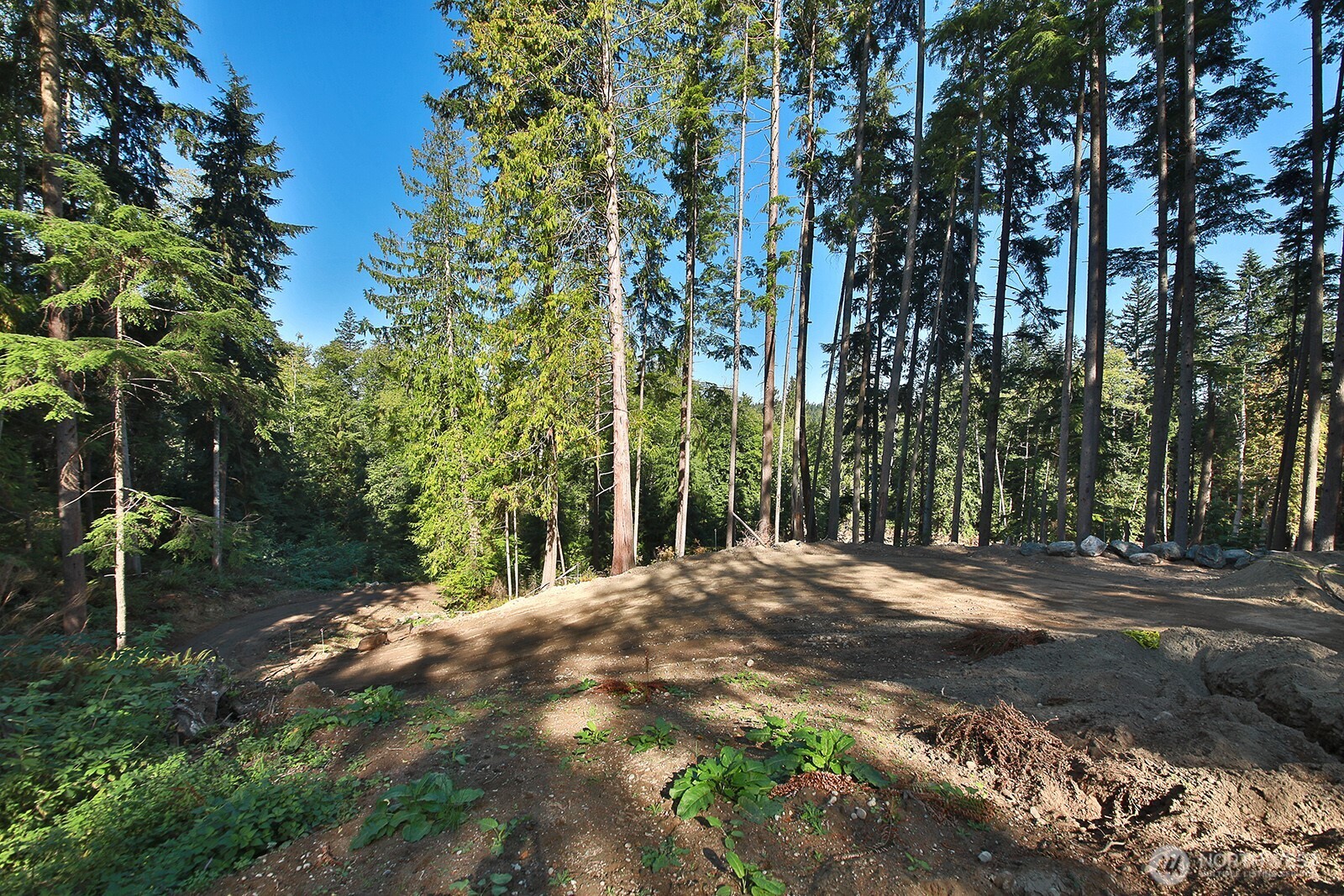 4935 Helppie Lane Freeland, WA 98249 - Photo 14 of 31