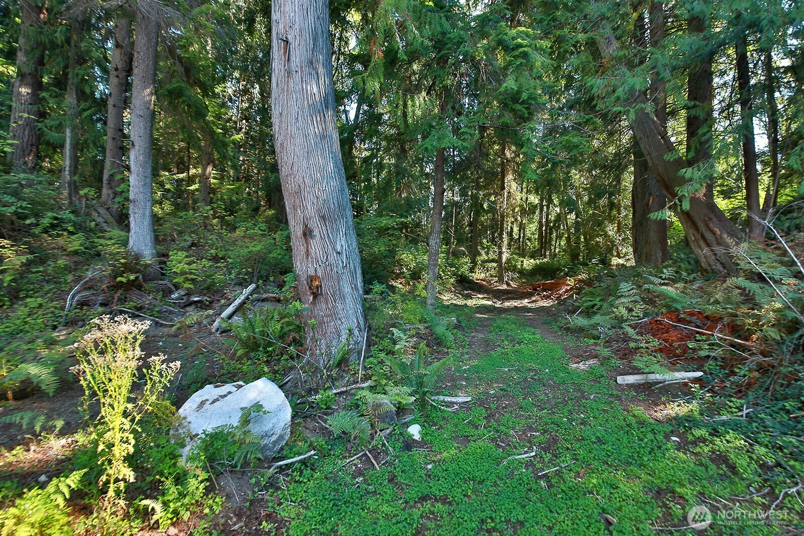 4935 Helppie Lane Freeland, WA 98249 - Photo 30 of 31