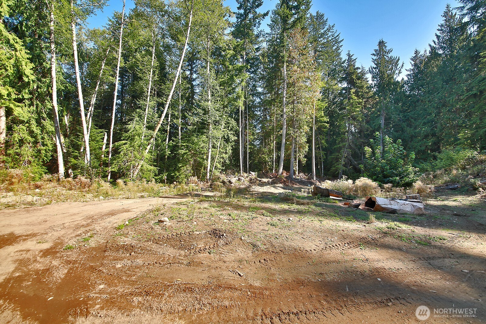 4935 Helppie Lane Freeland, WA 98249 - Photo 4 of 31