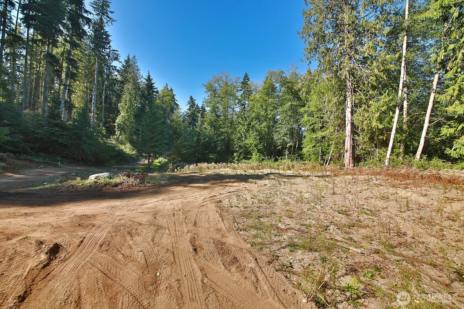 4935 Helppie Lane Freeland, WA 98249 - Photo 6 of 31