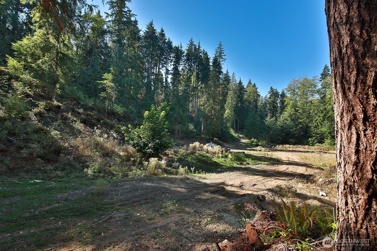 4935 Helppie Lane Freeland, WA 98249 - Photo 9 of 31