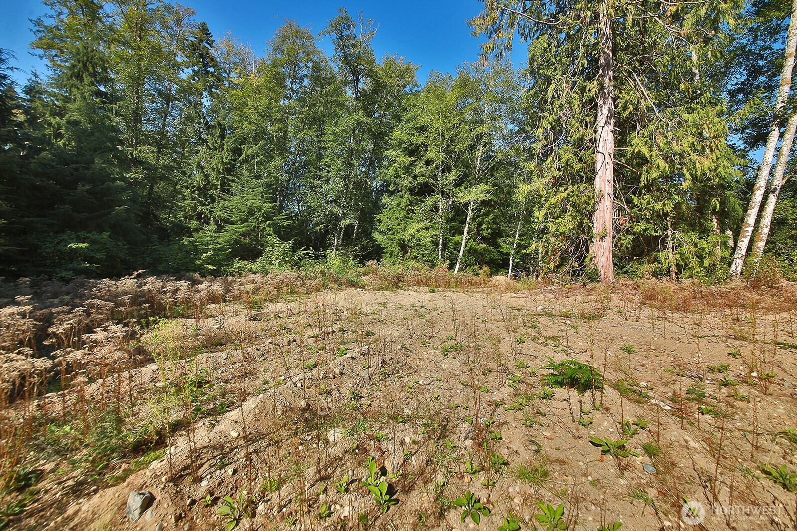 4935 Helppie Lane Freeland, WA 98249 - Photo 10 of 31