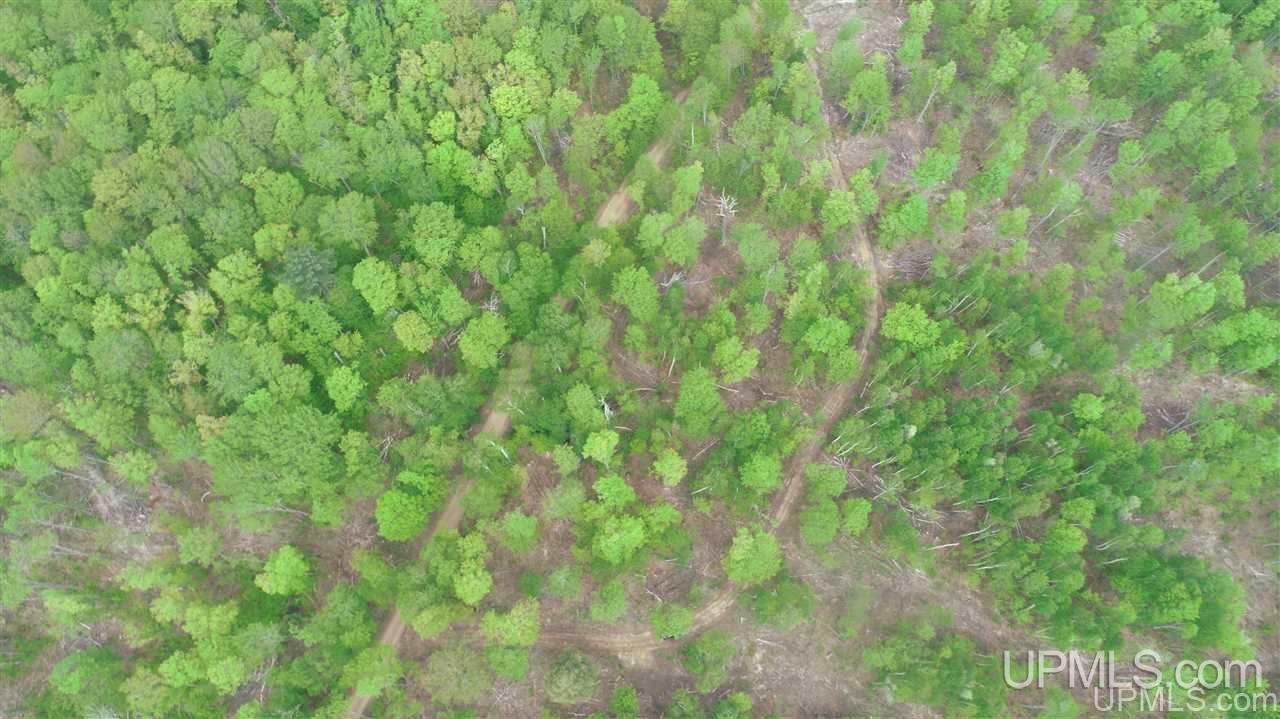 14399 North Maple Block Road Paradise, MI 49768 - Photo 9 of 14