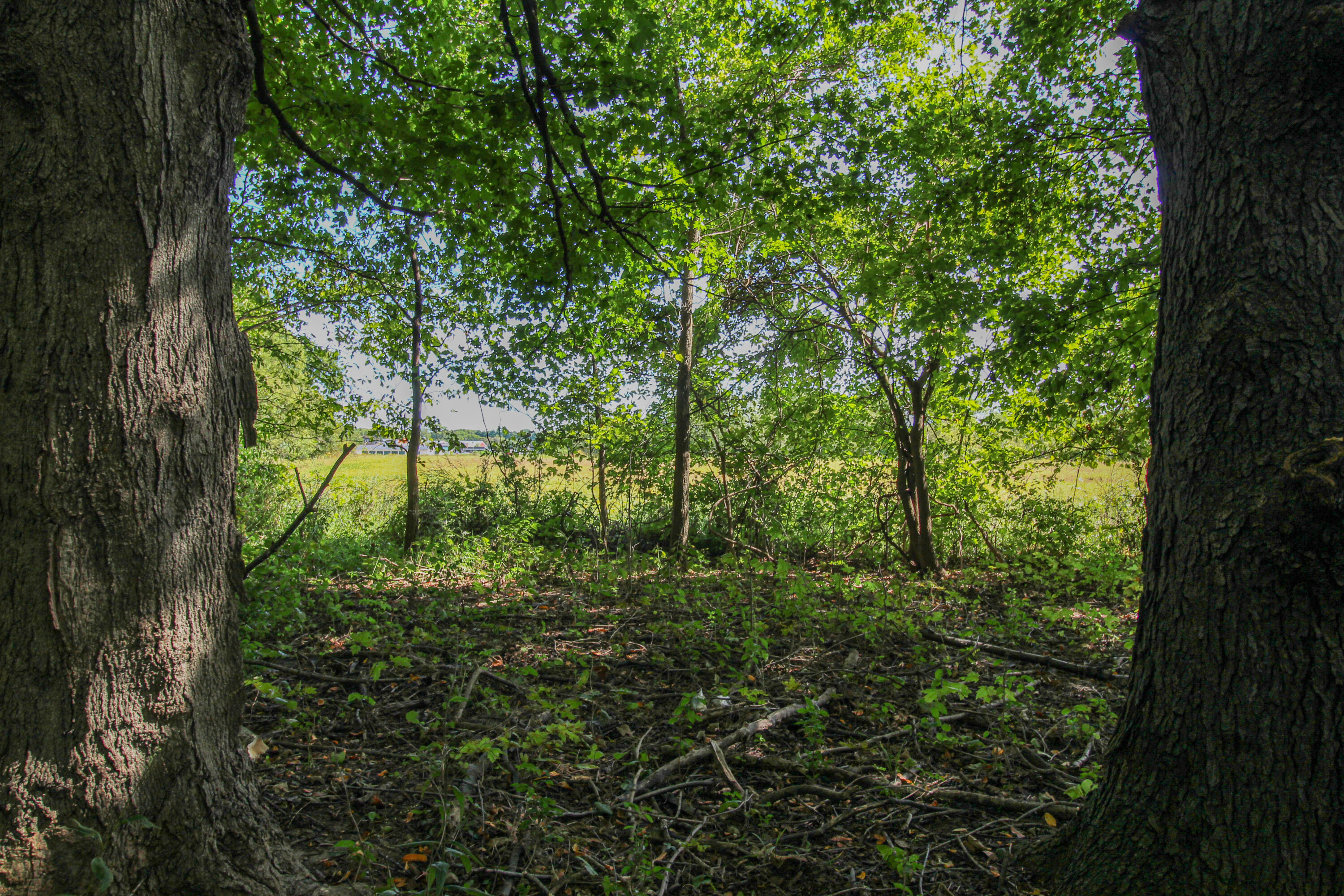 Three Millard Road Three Rivers, MI 49093 - Photo 14 of 19 Millard-8