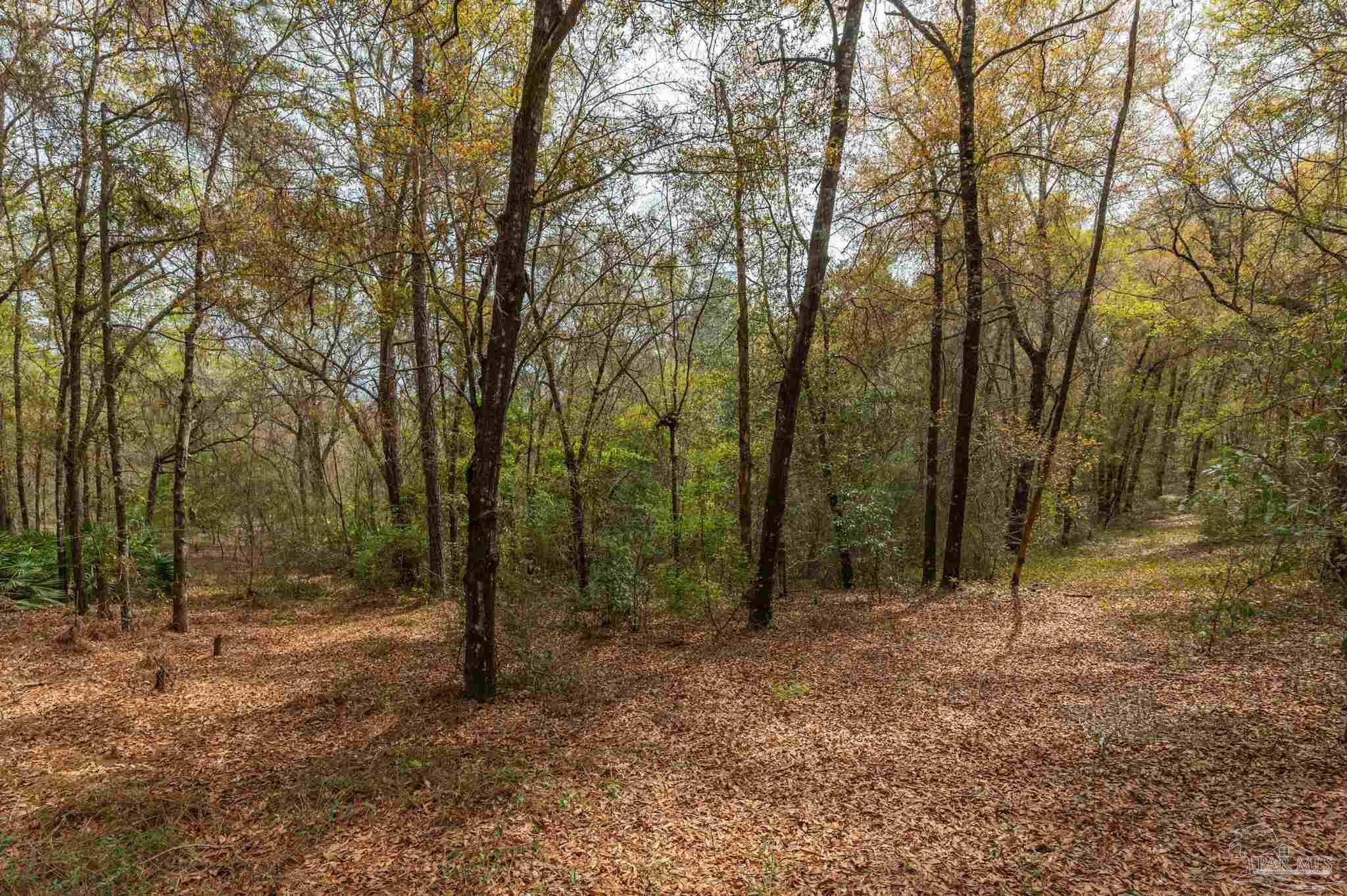 1182 Country Living Road Baker, FL 32531 - Photo 11 of 24