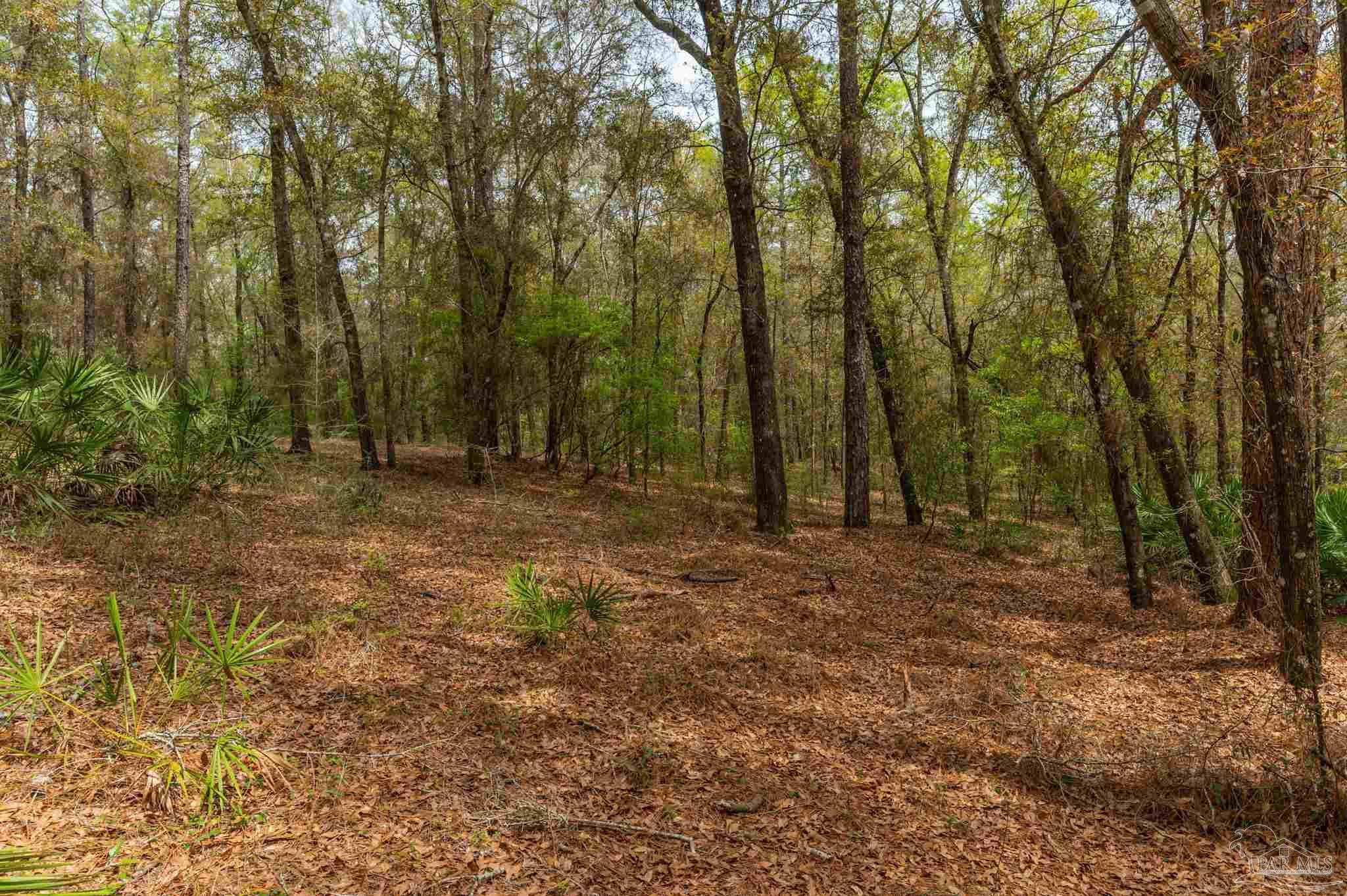 1182 Country Living Road Baker, FL 32531 - Photo 12 of 24