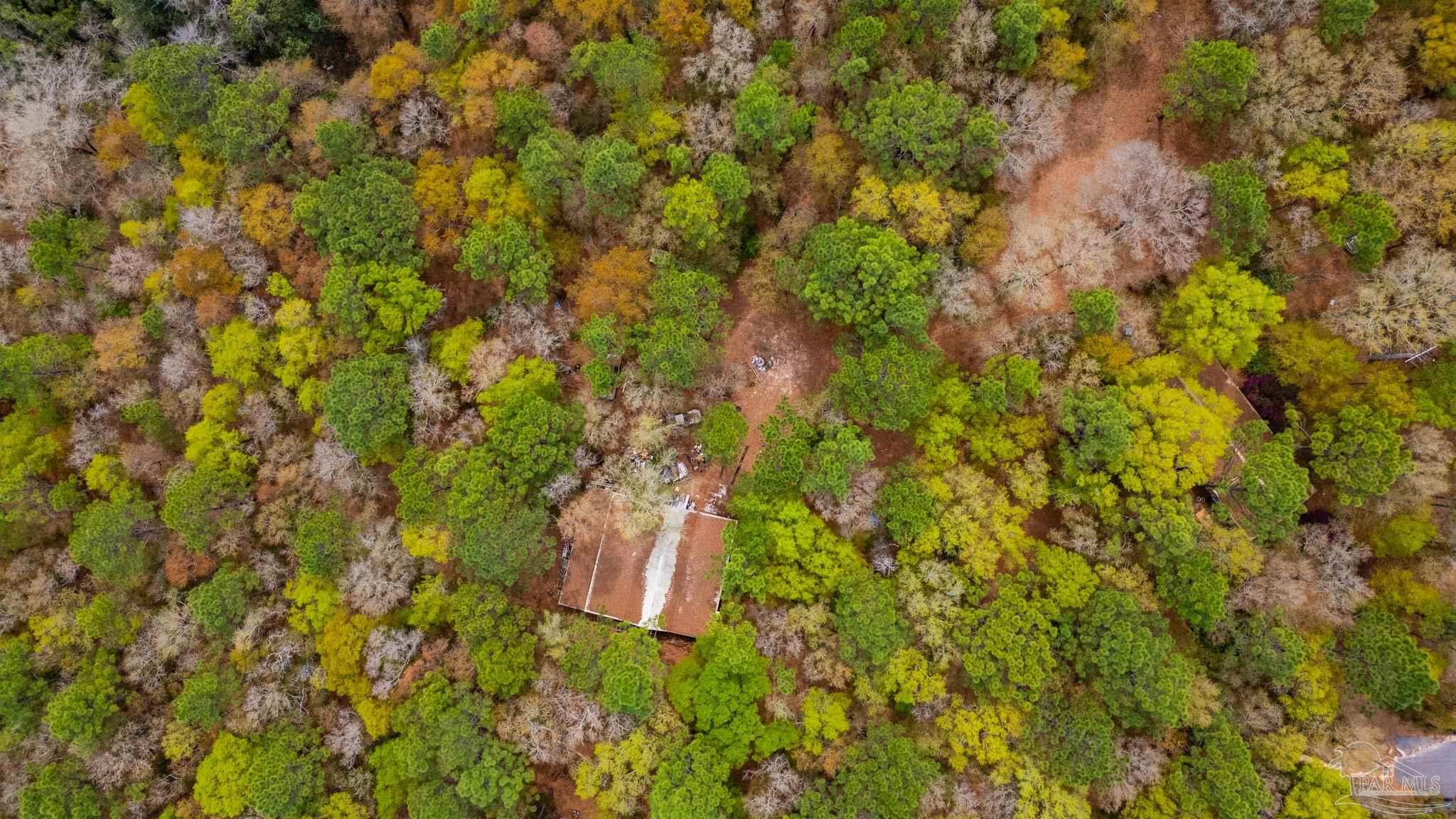 1182 Country Living Road Baker, FL 32531 - Photo 23 of 24
