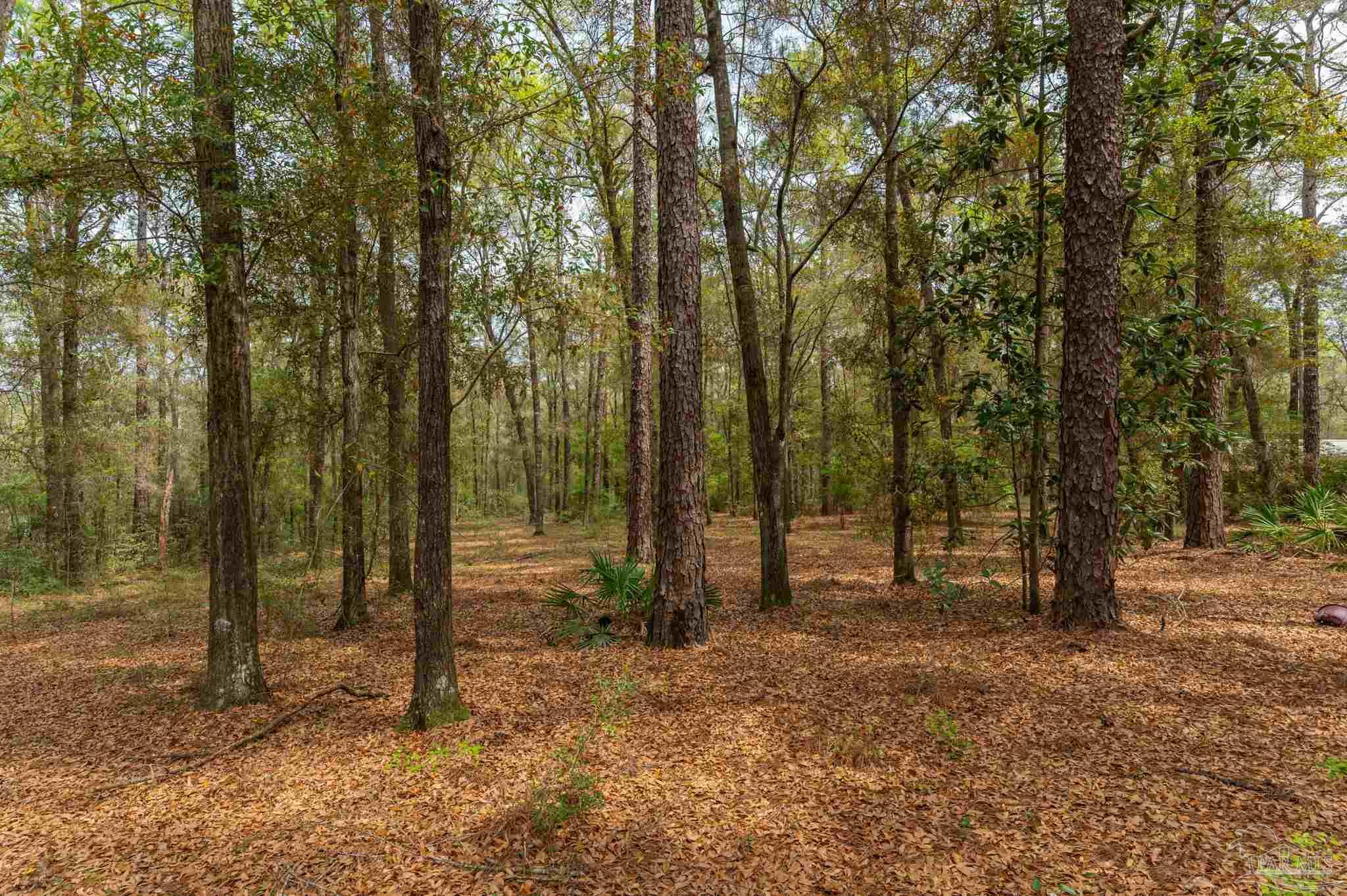 1182 Country Living Road Baker, FL 32531 - Photo 5 of 24