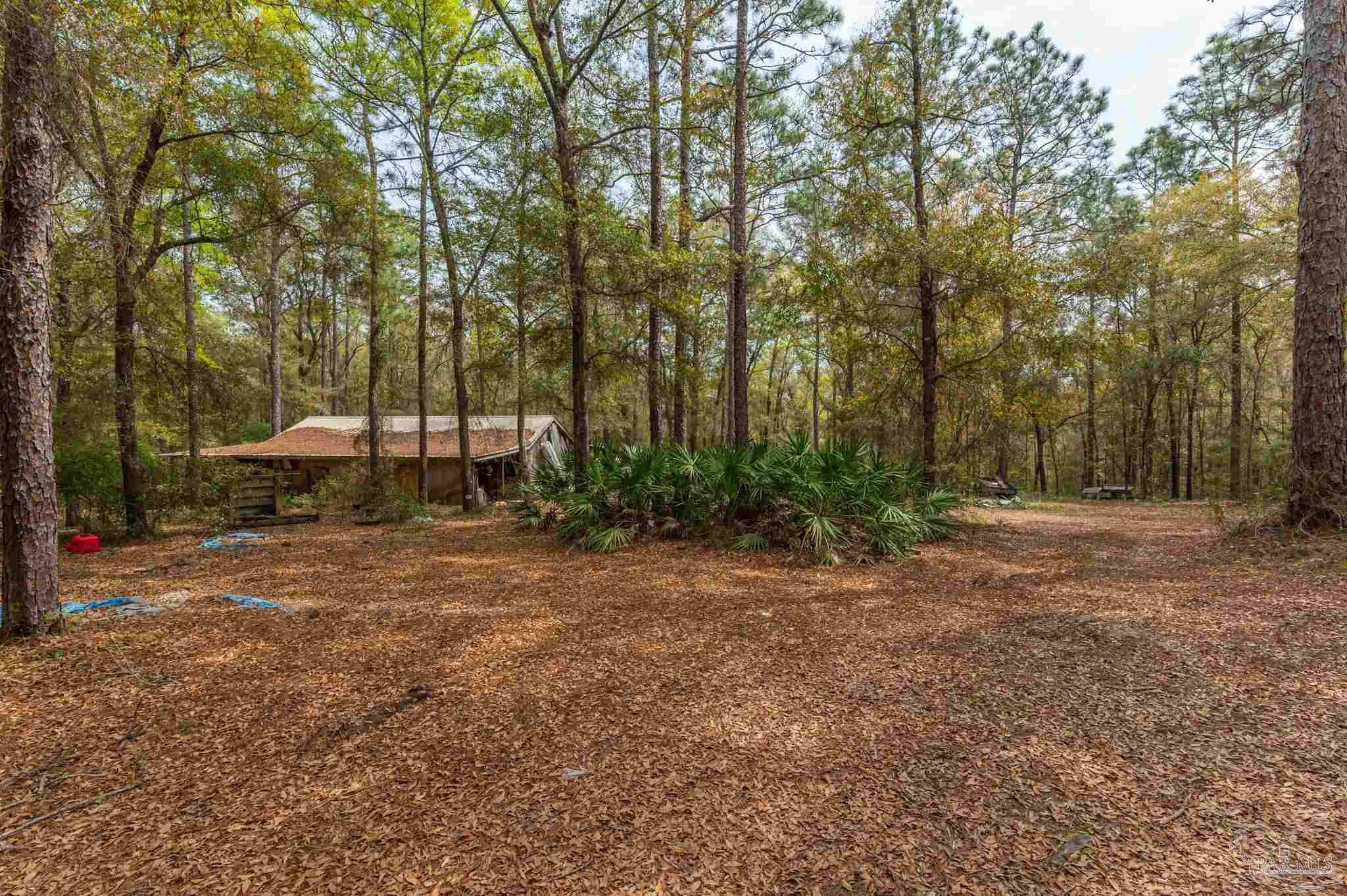 1182 Country Living Road Baker, FL 32531 - Photo 7 of 24