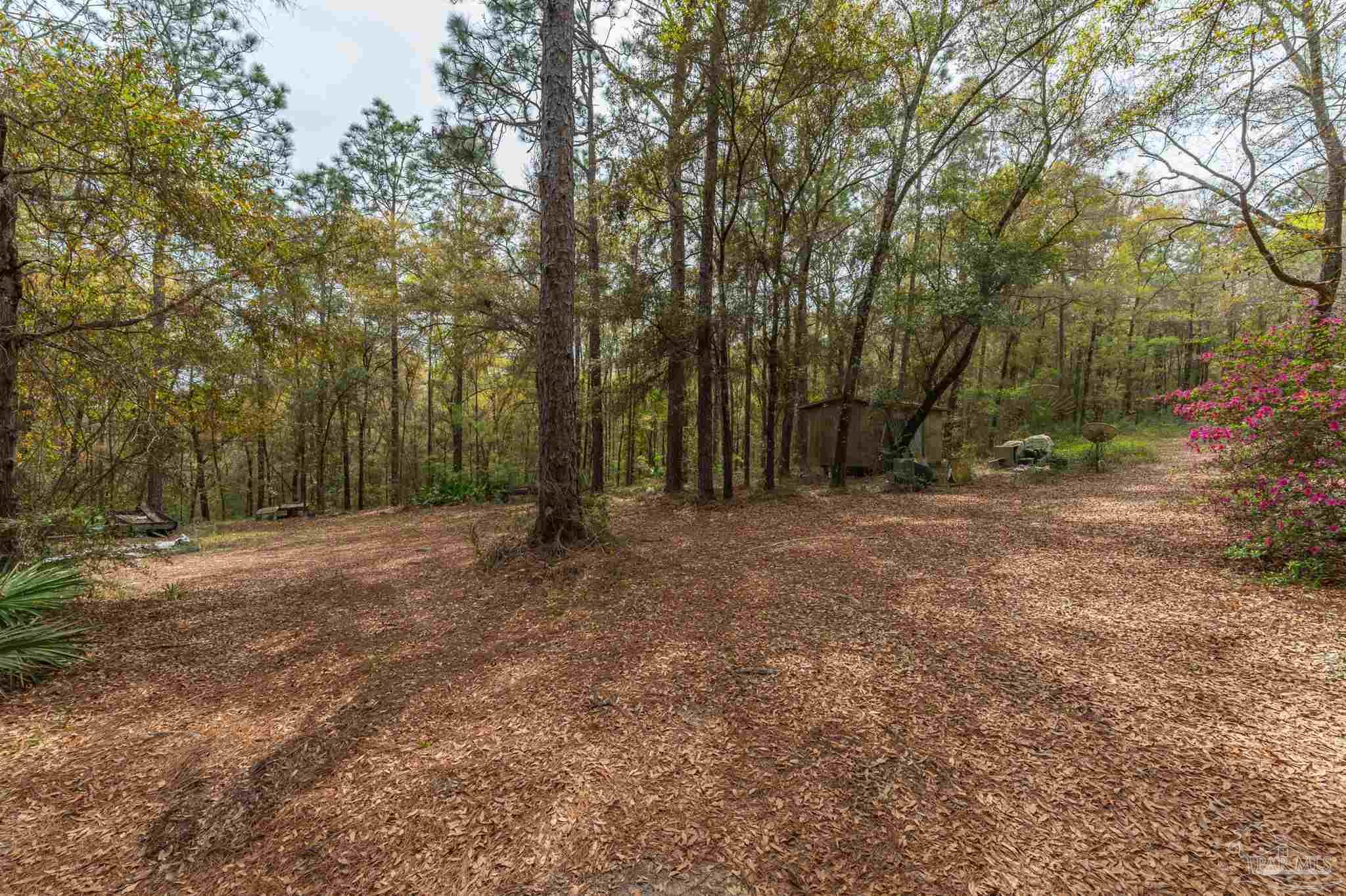 1182 Country Living Road Baker, FL 32531 - Photo 8 of 24
