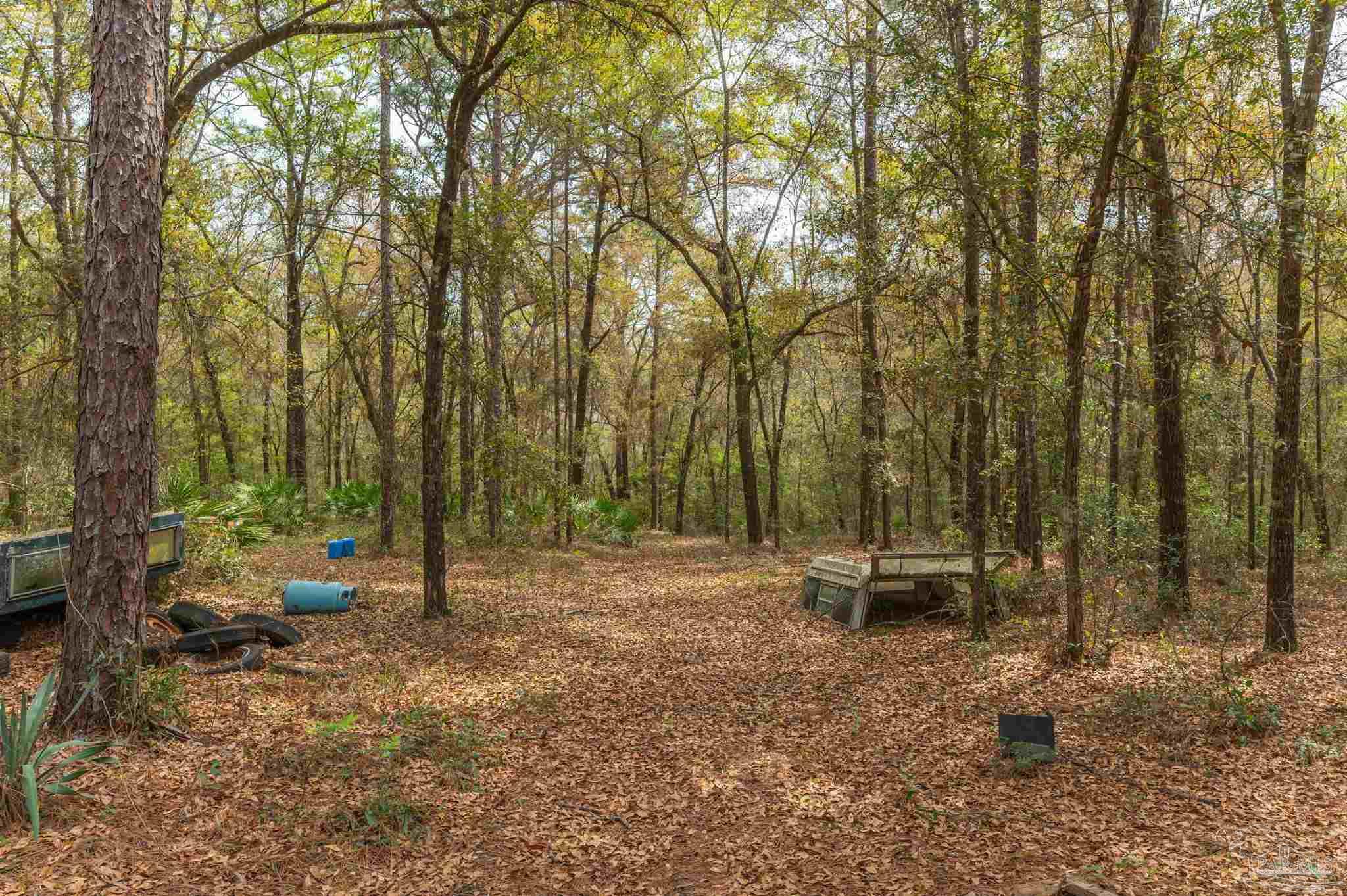 1182 Country Living Road Baker, FL 32531 - Photo 10 of 24