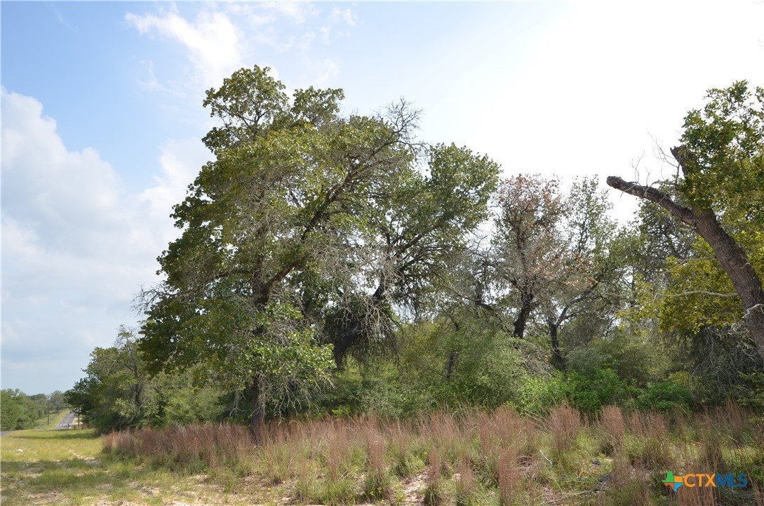 Lot 66 Powder Ridge Luling, TX 78648 - Photo 8 of 14