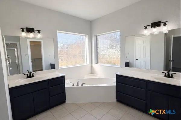 a bathroom with a tub double vanity sink and mirror