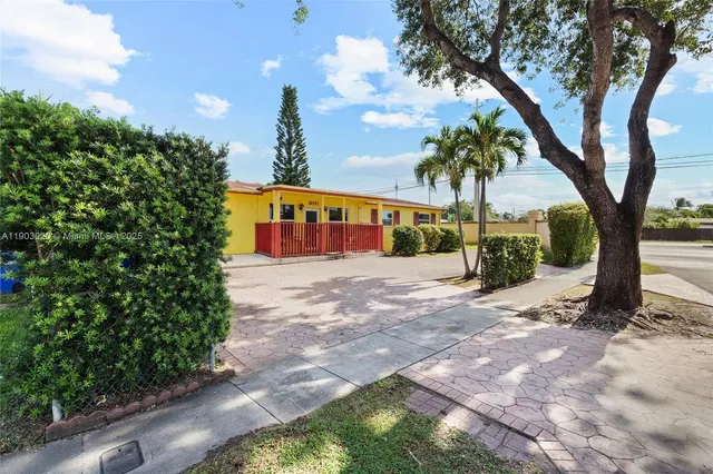 a view of a yard with plants and a large tree