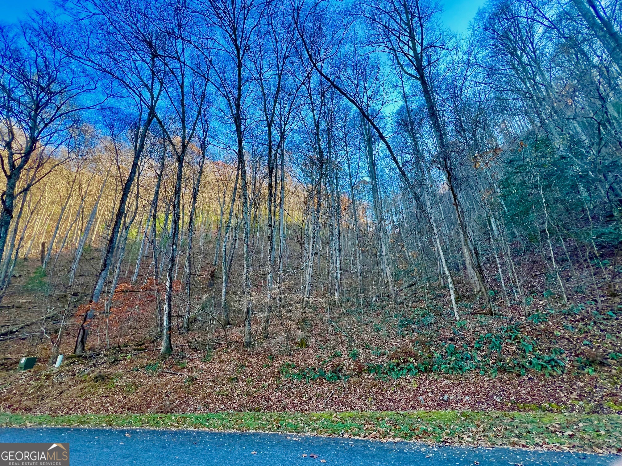 22 Walkers Ridge Mineral Bluff, GA 30559 - Photo 12 of 22