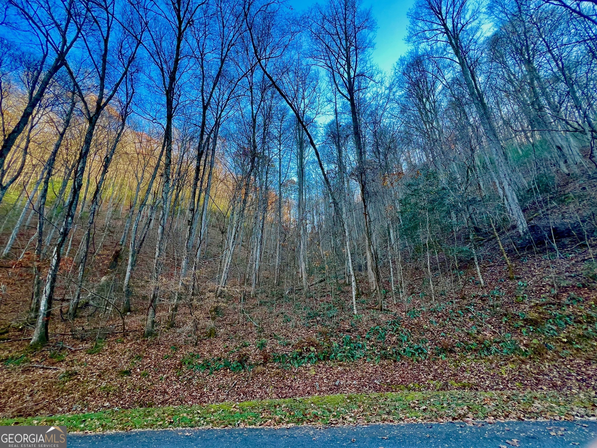 22 Walkers Ridge Mineral Bluff, GA 30559 - Photo 13 of 22