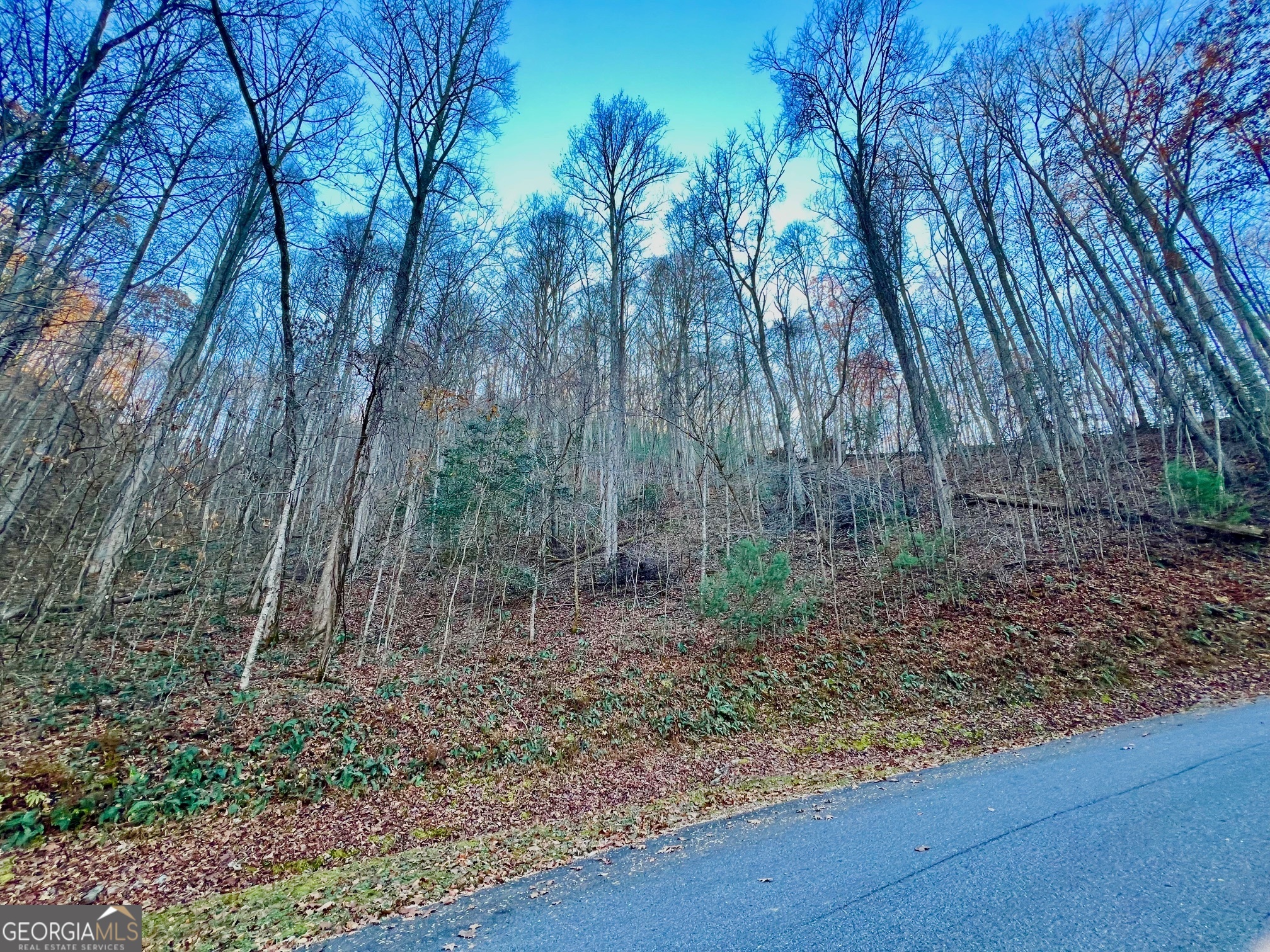 22 Walkers Ridge Mineral Bluff, GA 30559 - Photo 14 of 22