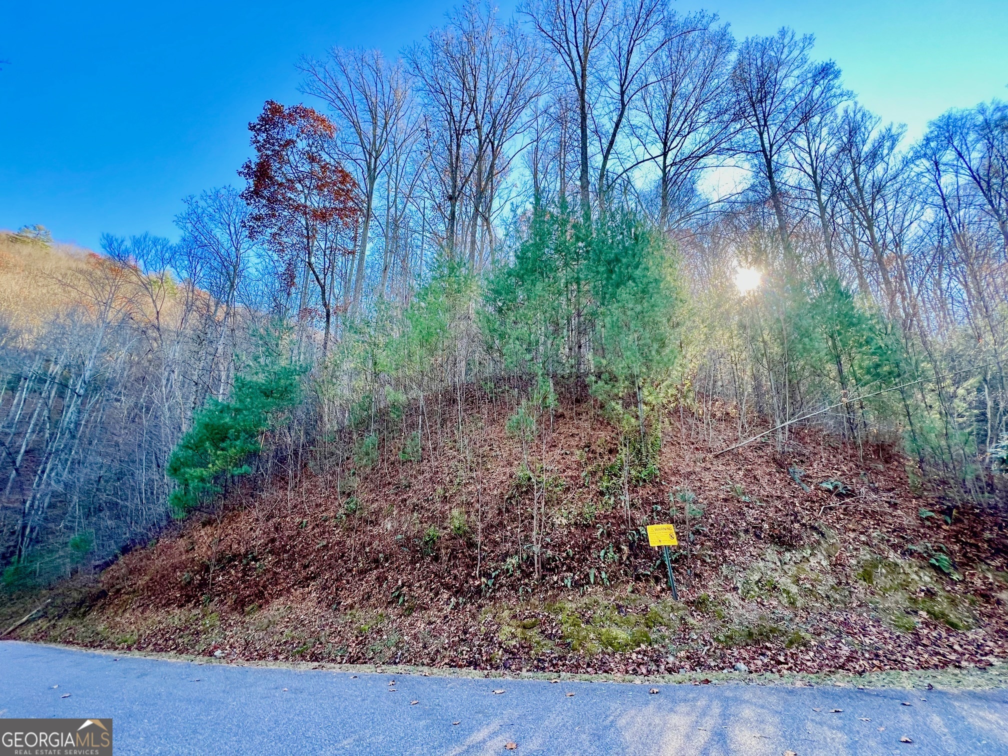 22 Walkers Ridge Mineral Bluff, GA 30559 - Photo 16 of 22