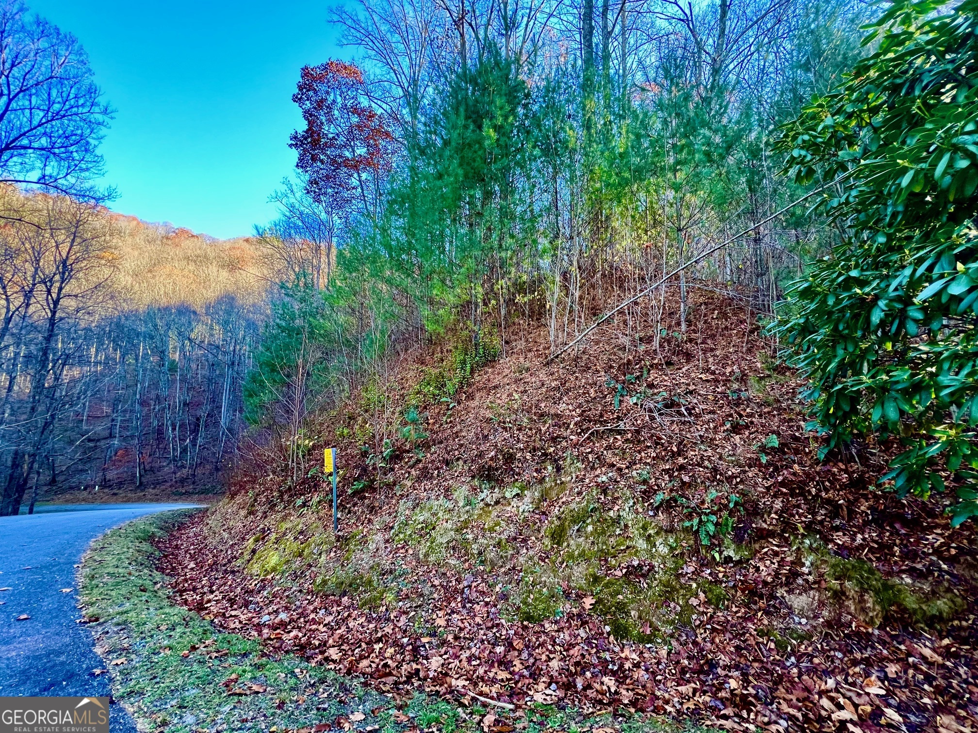 22 Walkers Ridge Mineral Bluff, GA 30559 - Photo 17 of 22