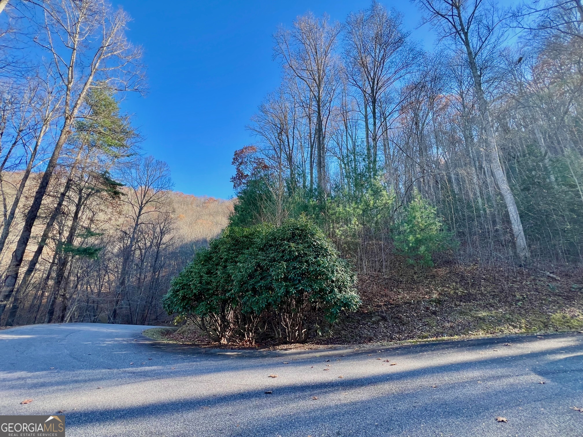 22 Walkers Ridge Mineral Bluff, GA 30559 - Photo 19 of 22