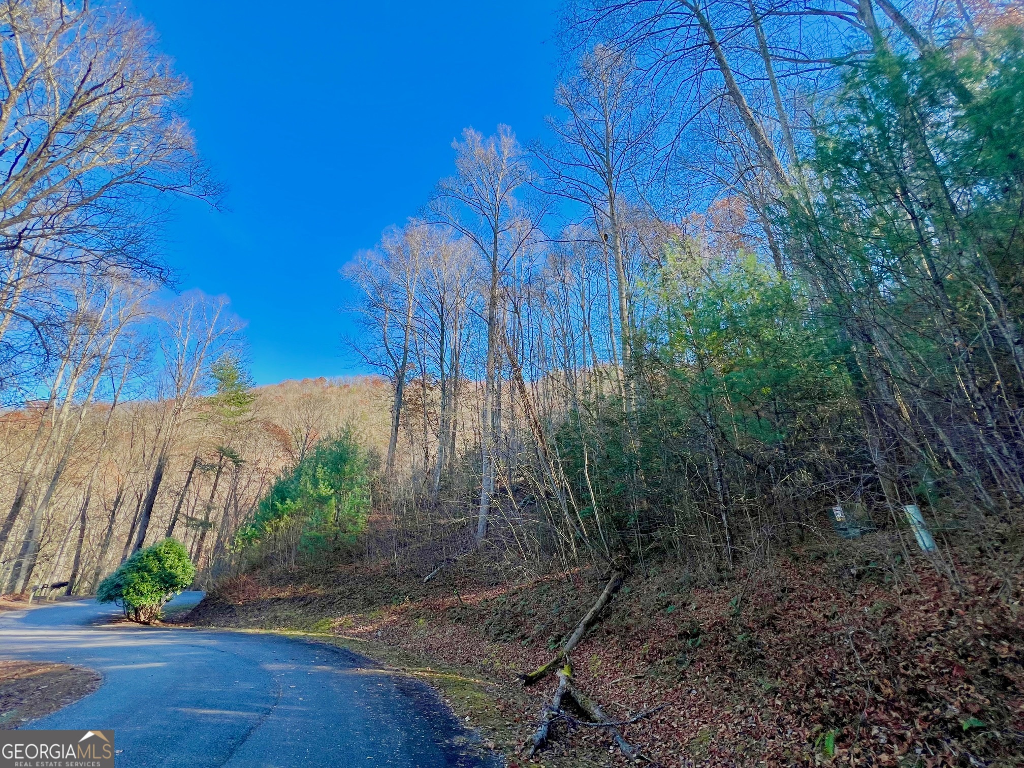 22 Walkers Ridge Mineral Bluff, GA 30559 - Photo 20 of 22