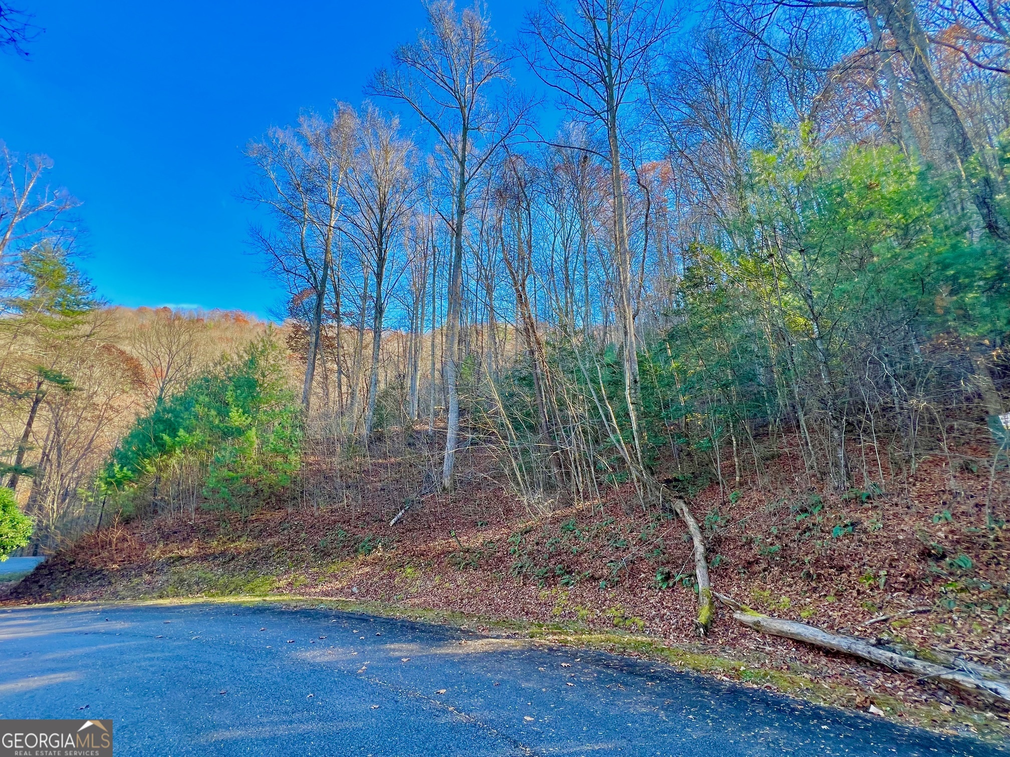 22 Walkers Ridge Mineral Bluff, GA 30559 - Photo 21 of 22