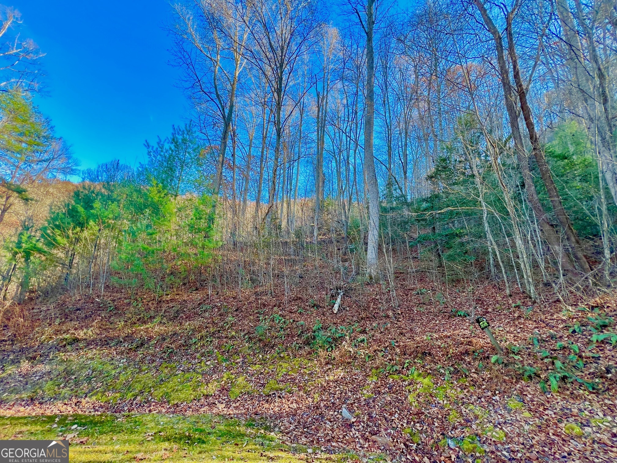 22 Walkers Ridge Mineral Bluff, GA 30559 - Photo 22 of 22