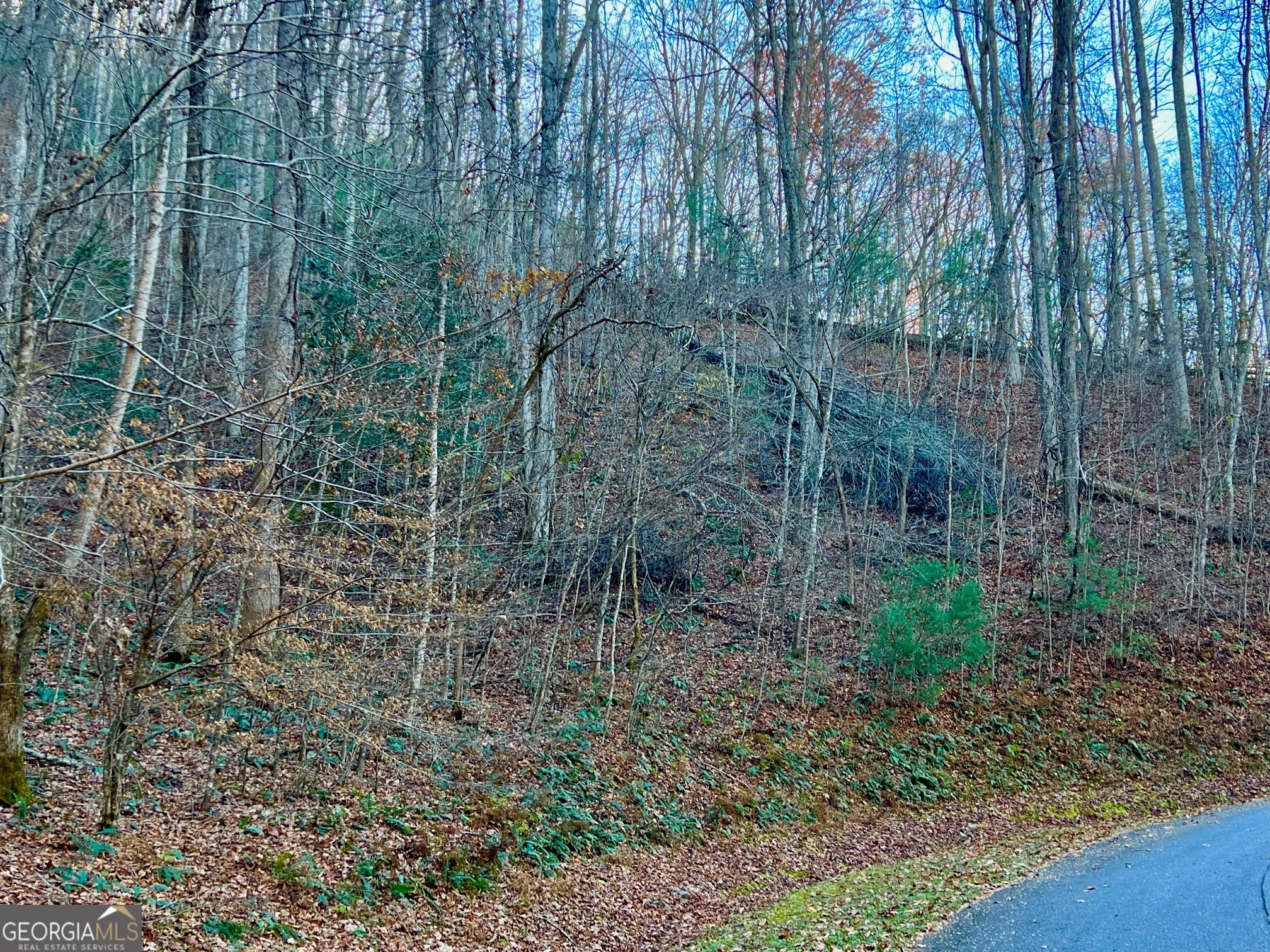 22 Walkers Ridge Mineral Bluff, GA 30559 - Photo 3 of 22