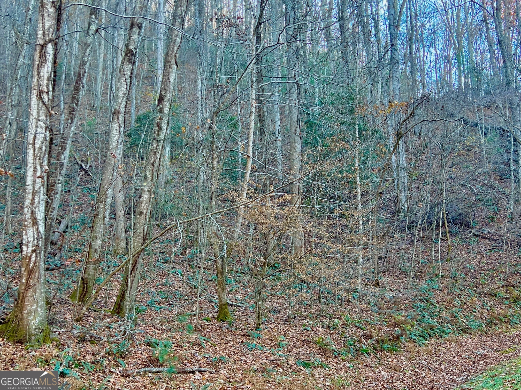 22 Walkers Ridge Mineral Bluff, GA 30559 - Photo 4 of 22