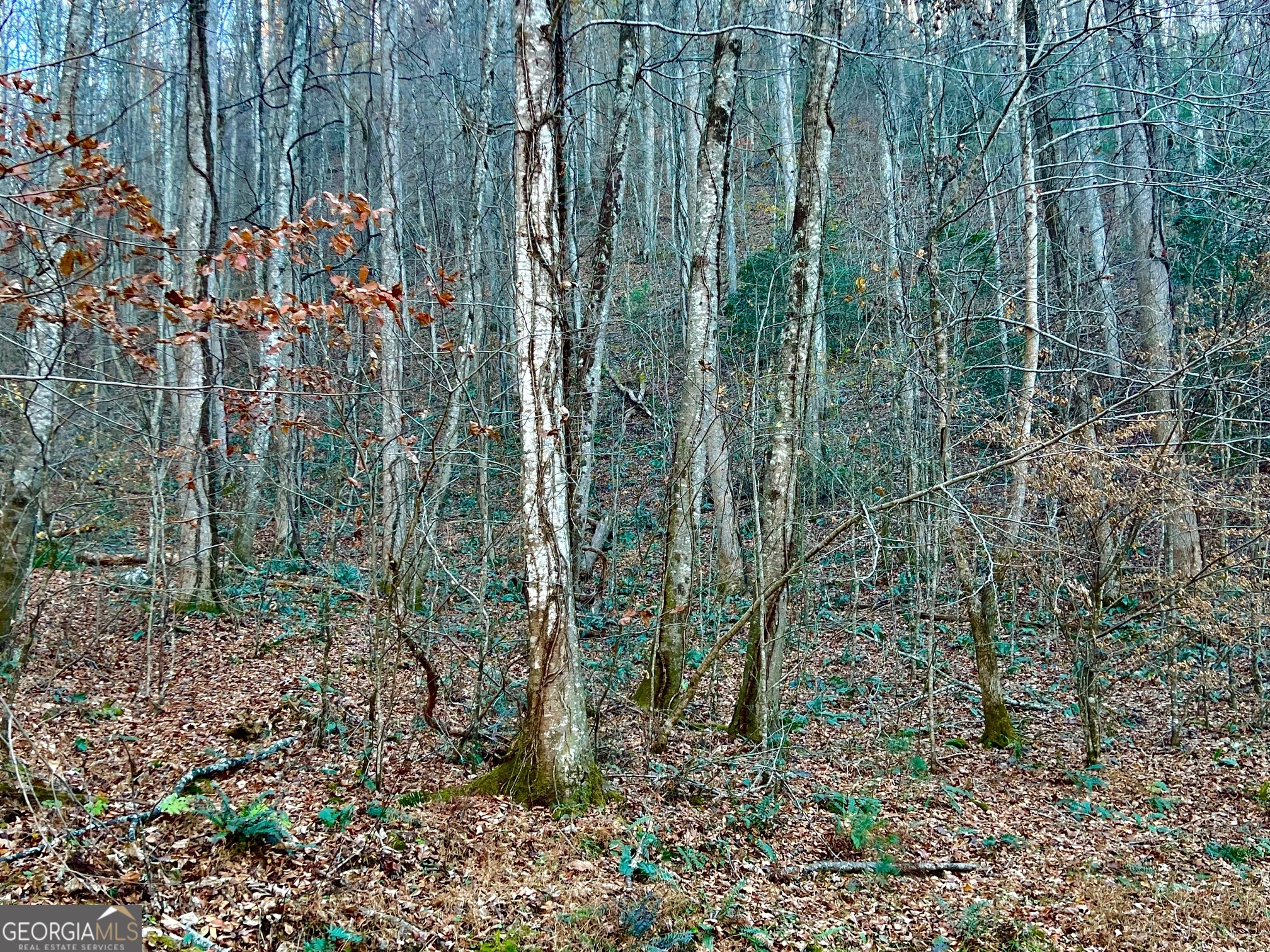 22 Walkers Ridge Mineral Bluff, GA 30559 - Photo 5 of 22