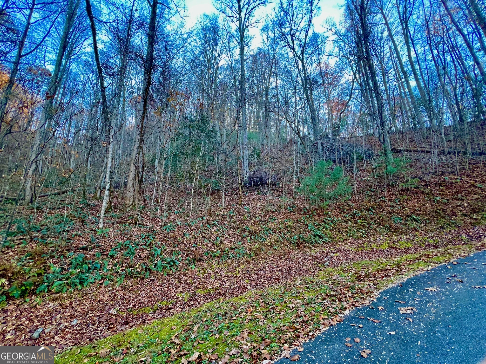 22 Walkers Ridge Mineral Bluff, GA 30559 - Photo 9 of 22