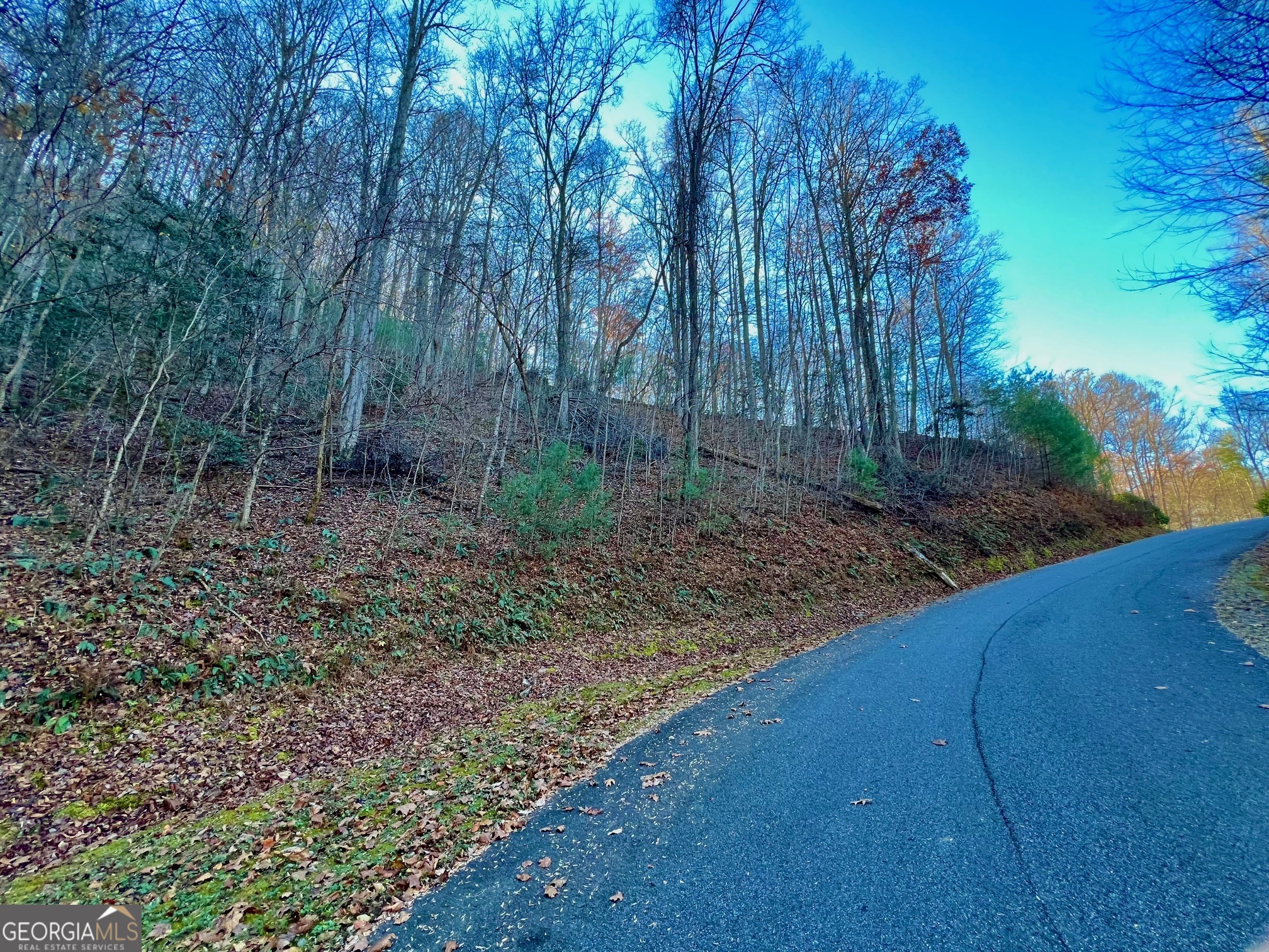 22 Walkers Ridge Mineral Bluff, GA 30559 - Photo 10 of 22