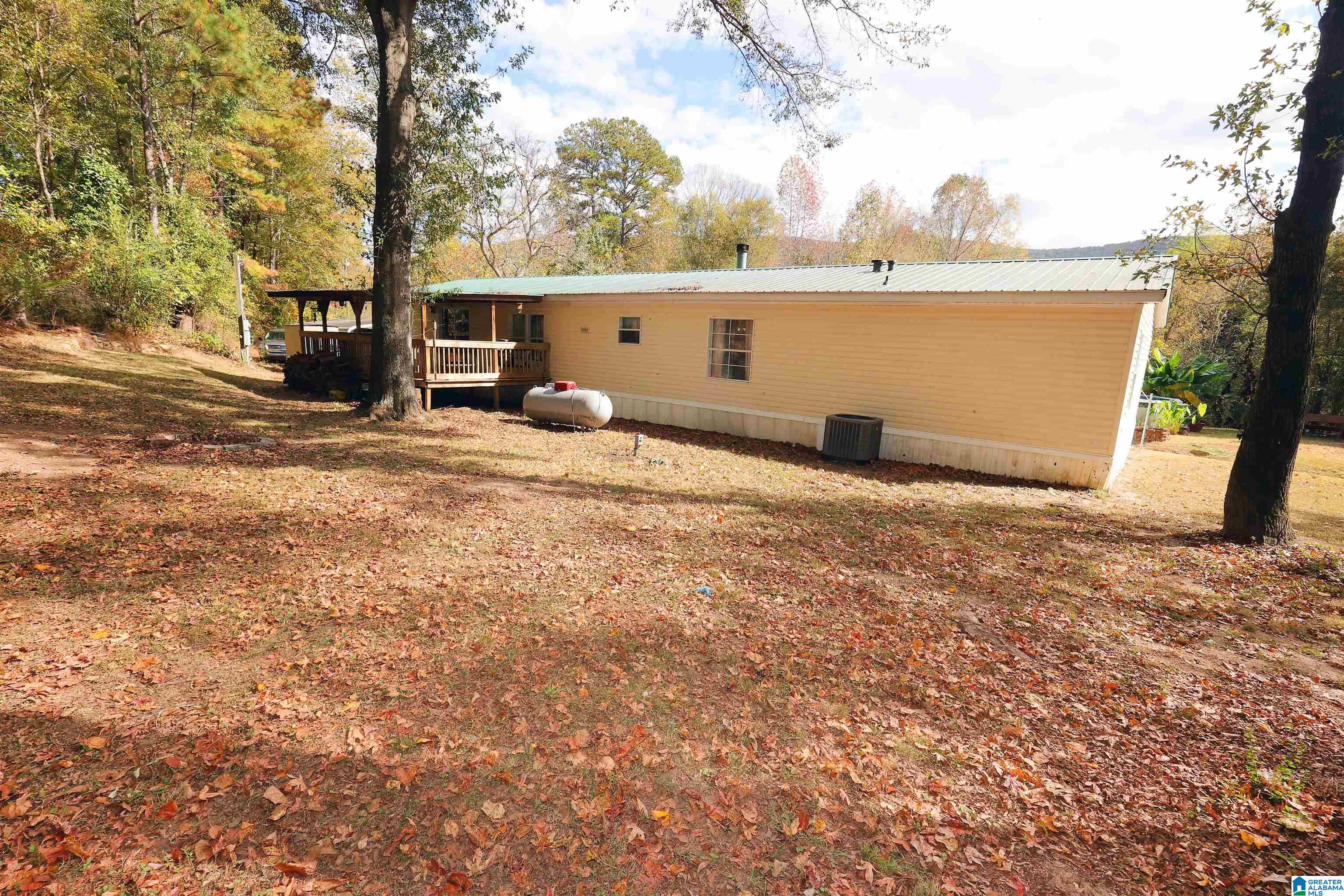 65 Cameron Road Piedmont, AL 36272 - Photo 6 of 26