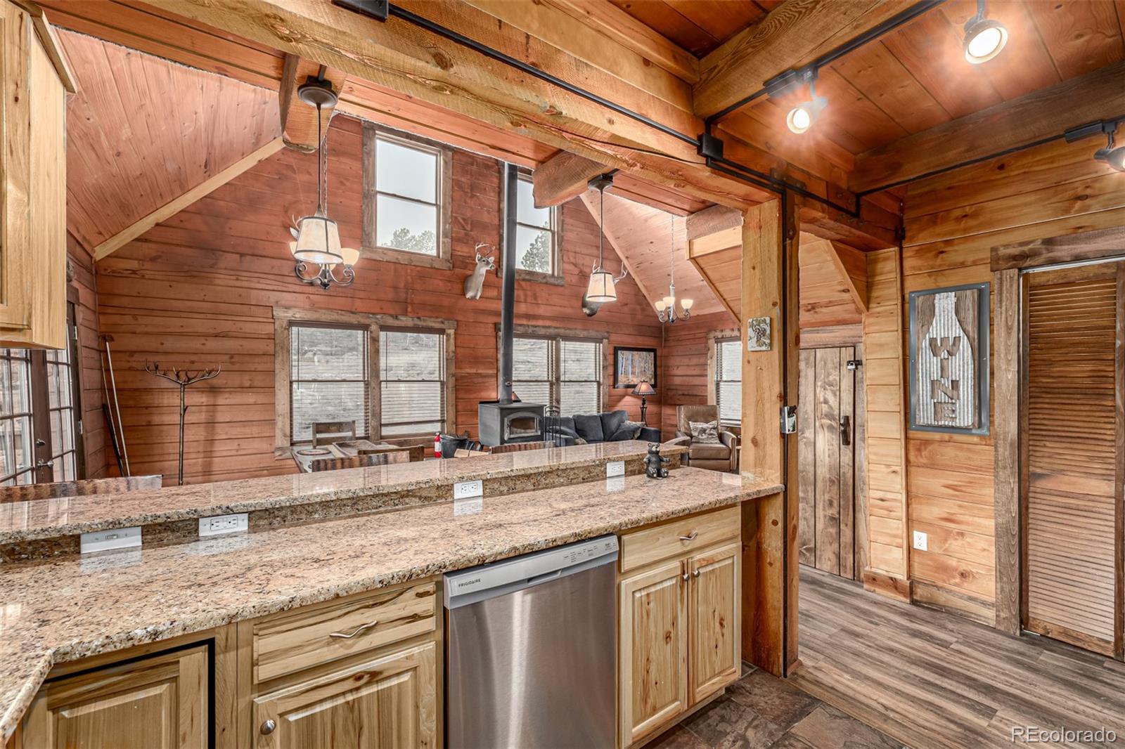 116 Dakota Path Lake George, CO 80827 - Photo 19 of 38 a kitchen with stainless steel appliances granite countertop a sink and a counter space