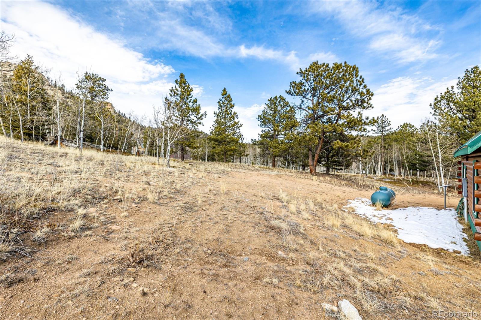 116 Dakota Path Lake George, CO 80827 - Photo 32 of 38 a view of a yard with trees