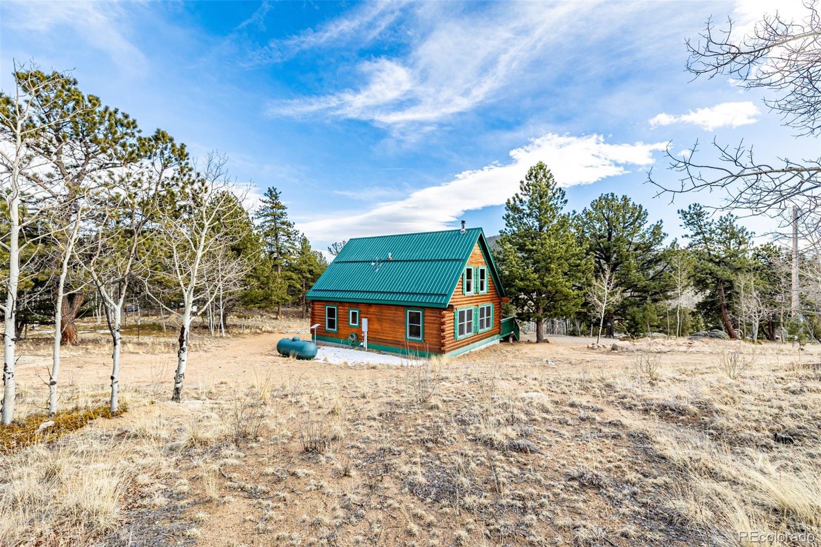 116 Dakota Path Lake George, CO 80827 - Photo 33 of 38 a house with trees in the background