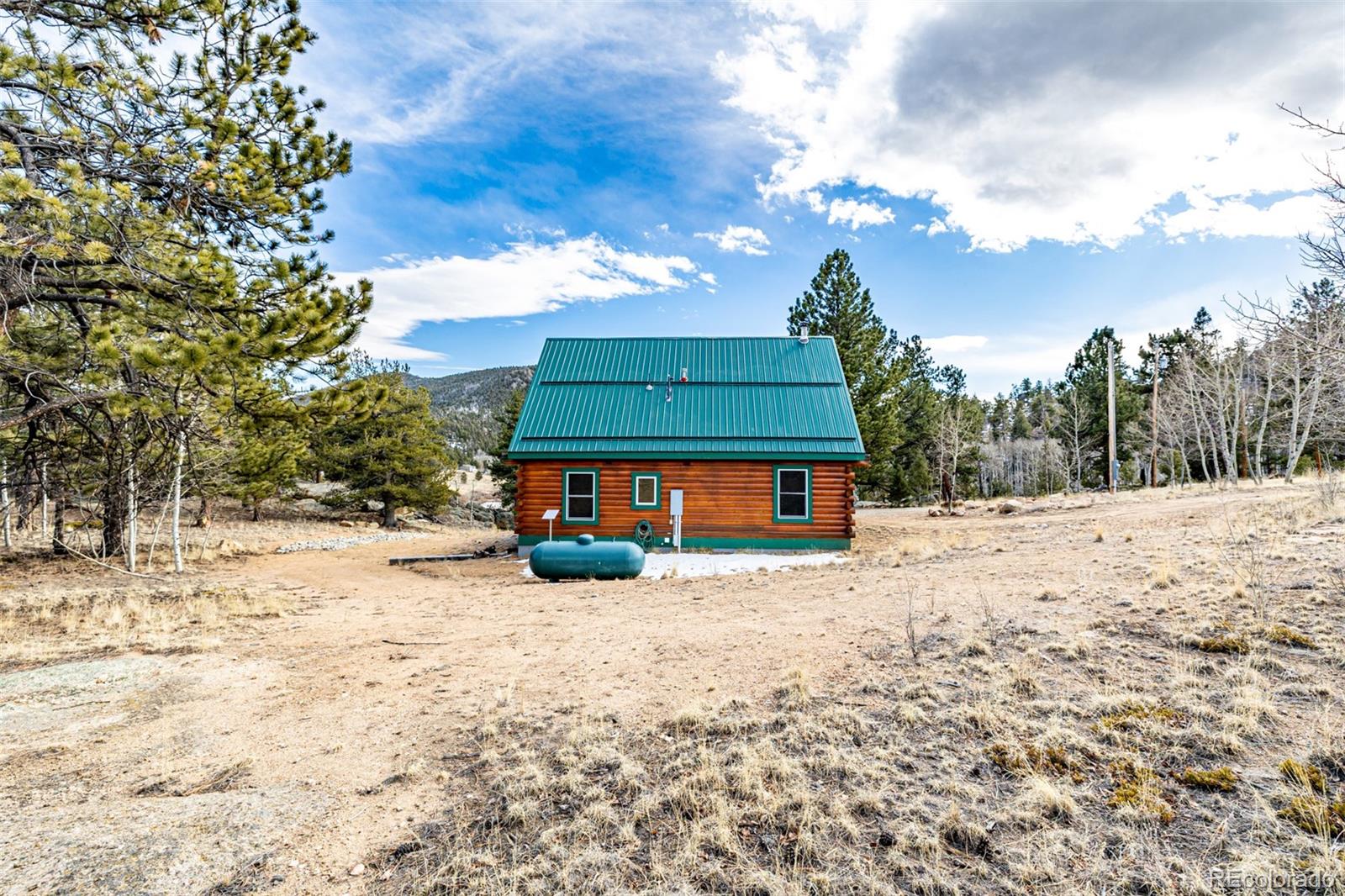 116 Dakota Path Lake George, CO 80827 - Photo 34 of 38 a view of a yard with snow on the road